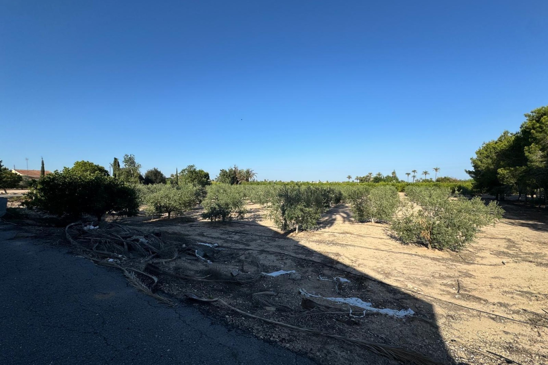 Resale - Villa - Elche Pedanías - La Hoya-Daimes-El Derramador
