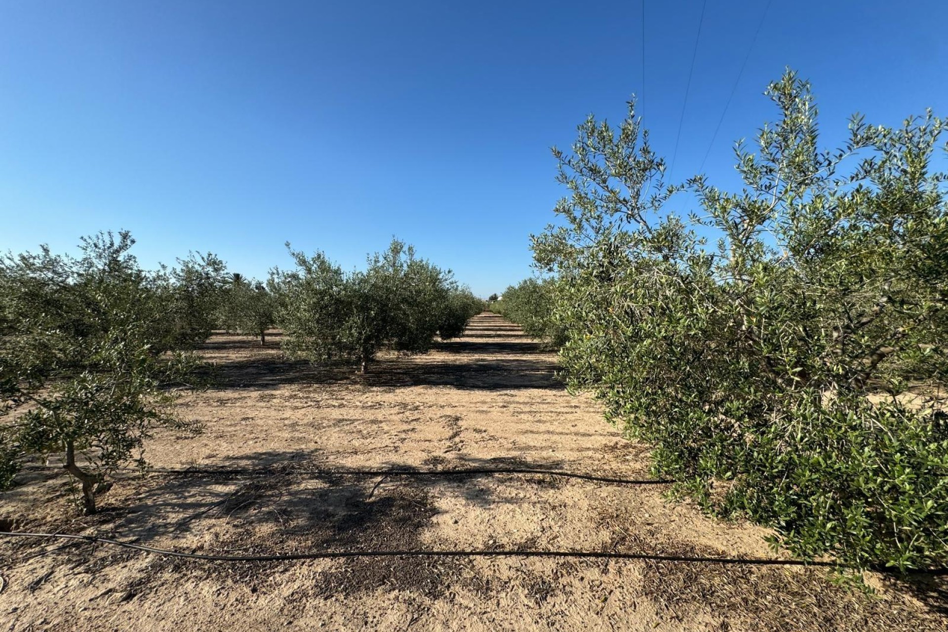 Resale - Villa - Elche Pedanías - La Hoya-Daimes-El Derramador
