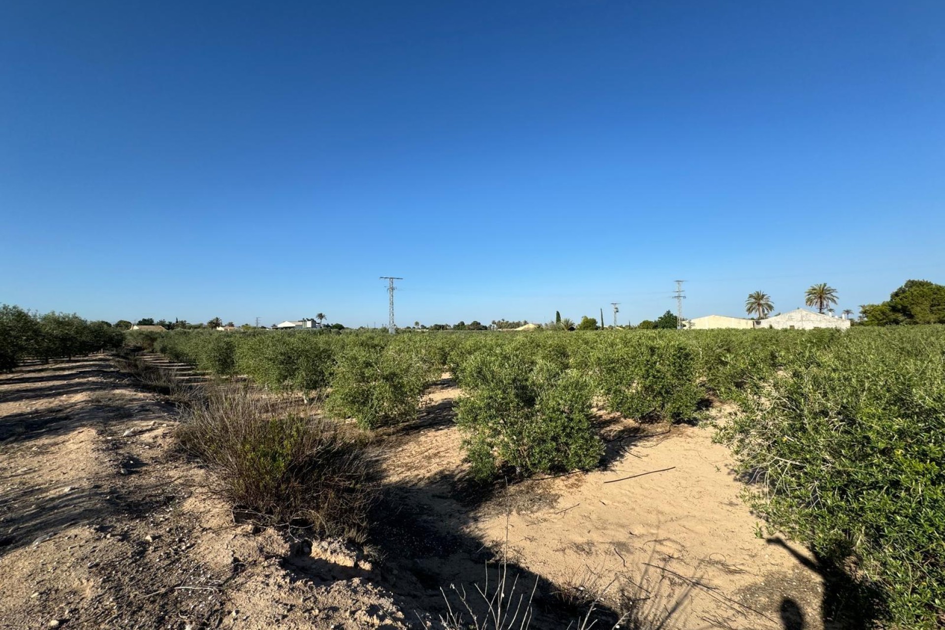 Resale - Villa - Elche Pedanías - La Hoya-Daimes-El Derramador