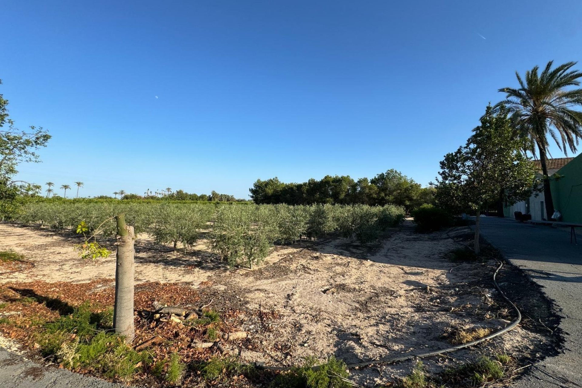 Resale - Villa - Elche Pedanías - La Hoya-Daimes-El Derramador