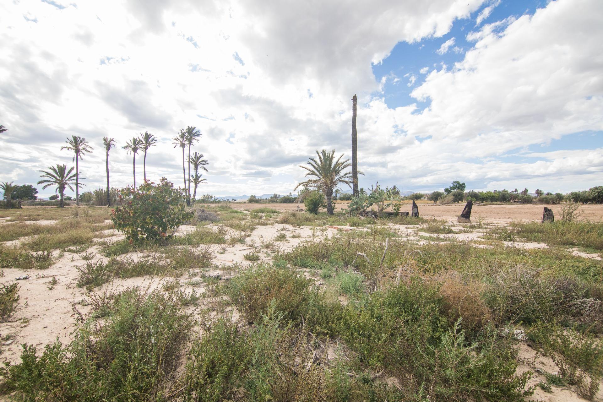 Resale - Villa - Elche Pedanías - La Hoya-Daimes-El Derramador