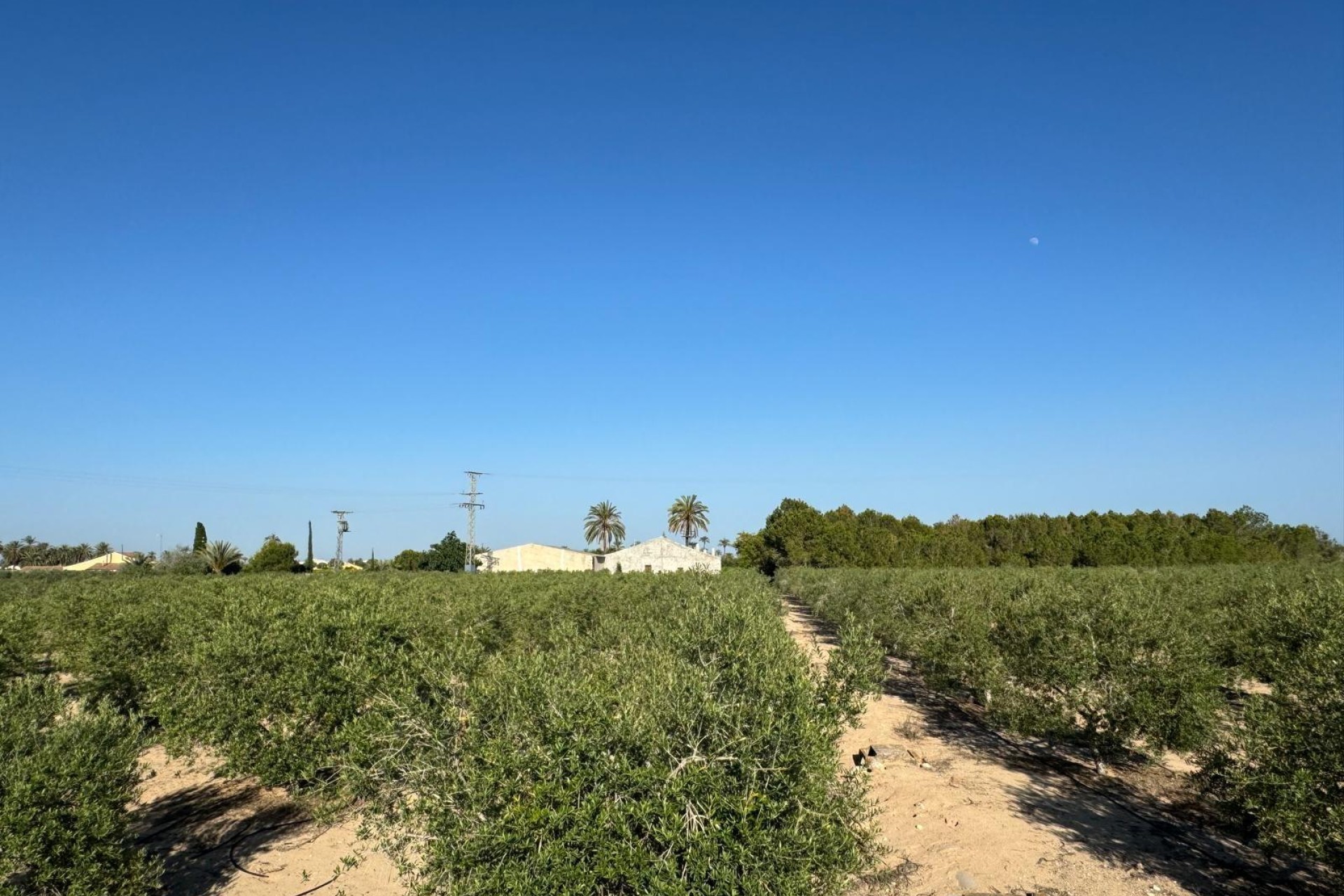 Resale - Villa - Elche Pedanías - La Hoya