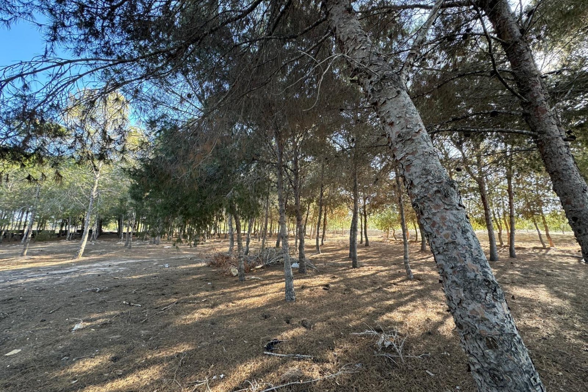 Resale - Villa - Elche Pedanías - La Hoya