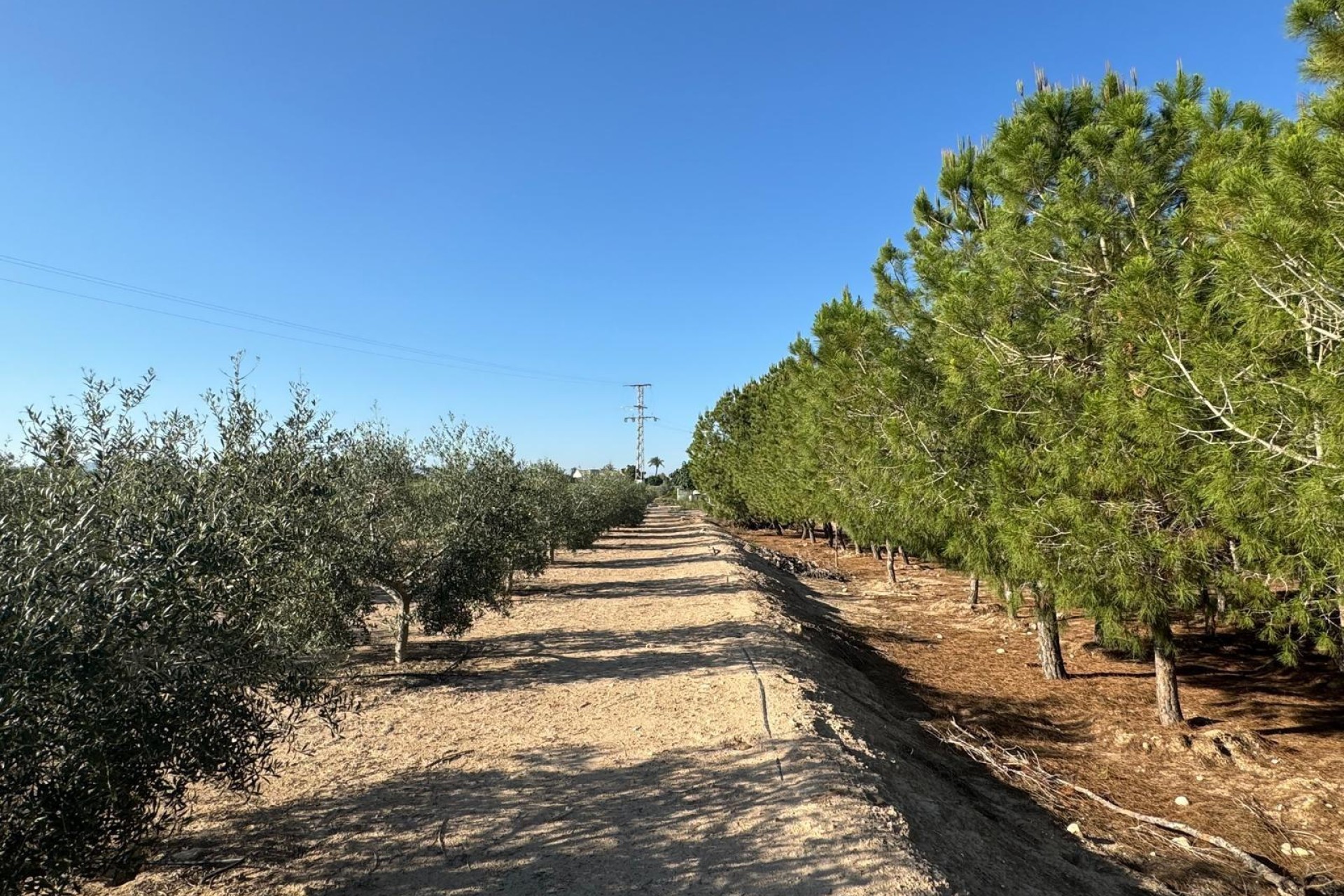 Resale - Villa - Elche Pedanías - La Hoya