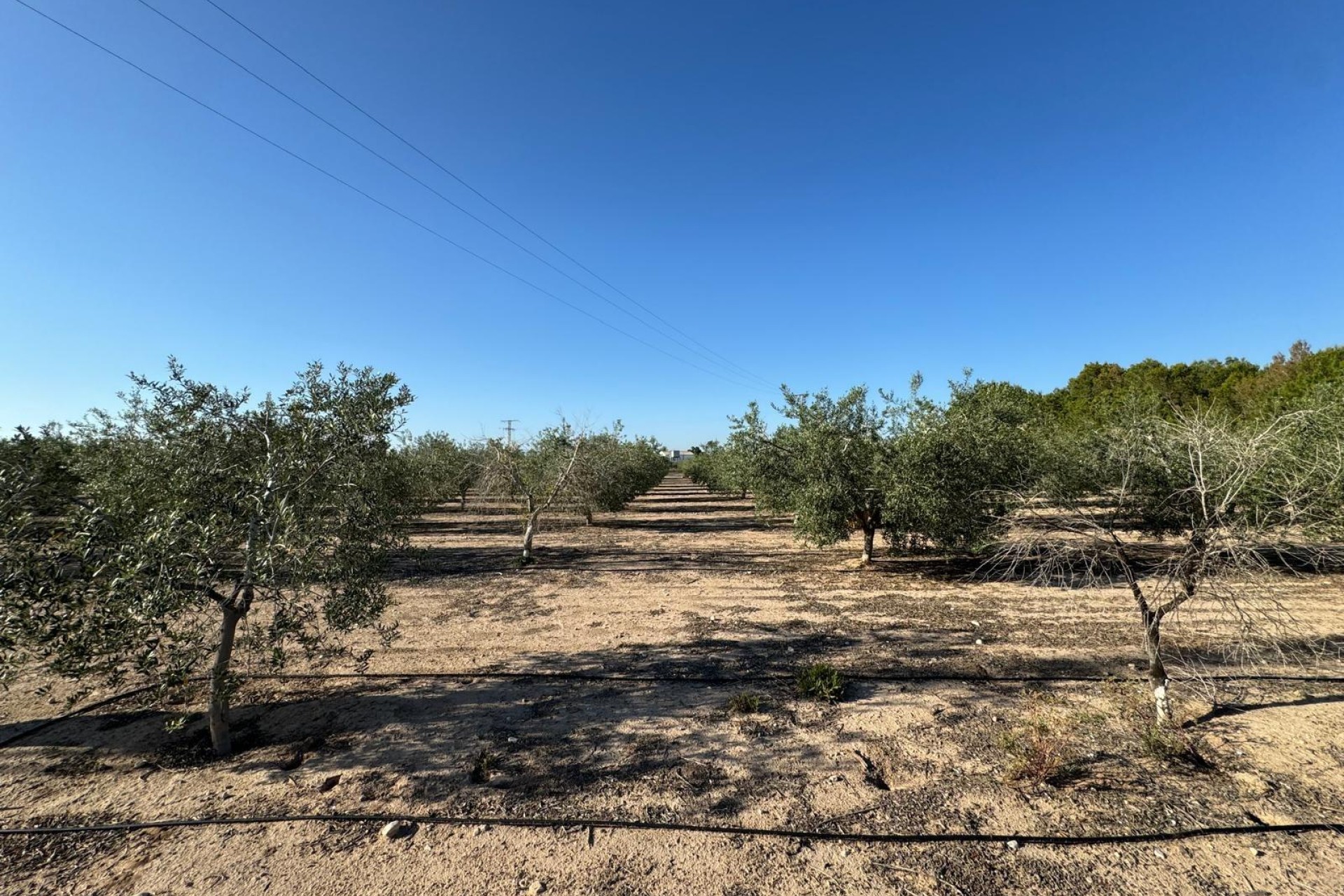Resale - Villa - Elche Pedanías - La Hoya