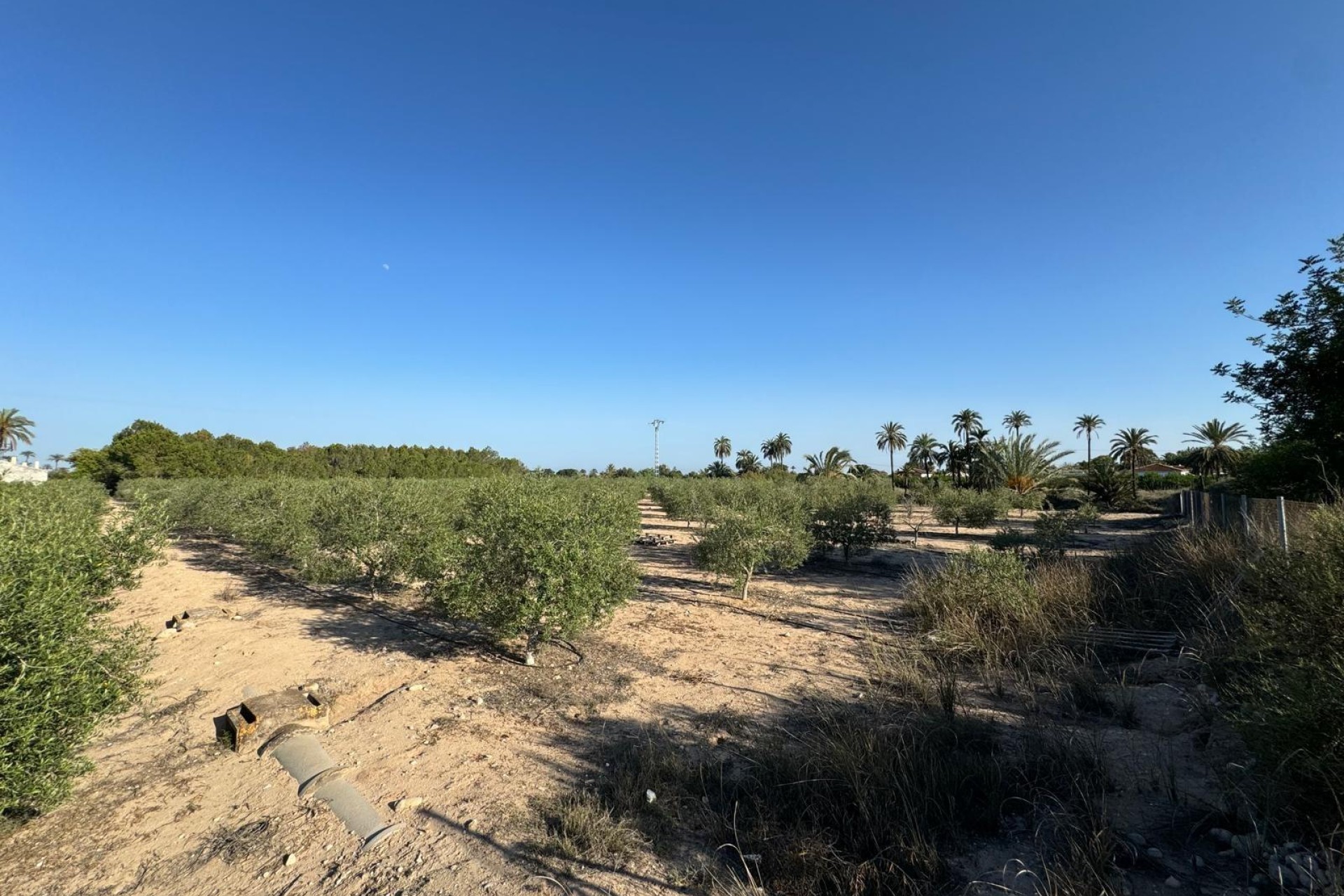 Resale - Villa - Elche Pedanías - La Hoya