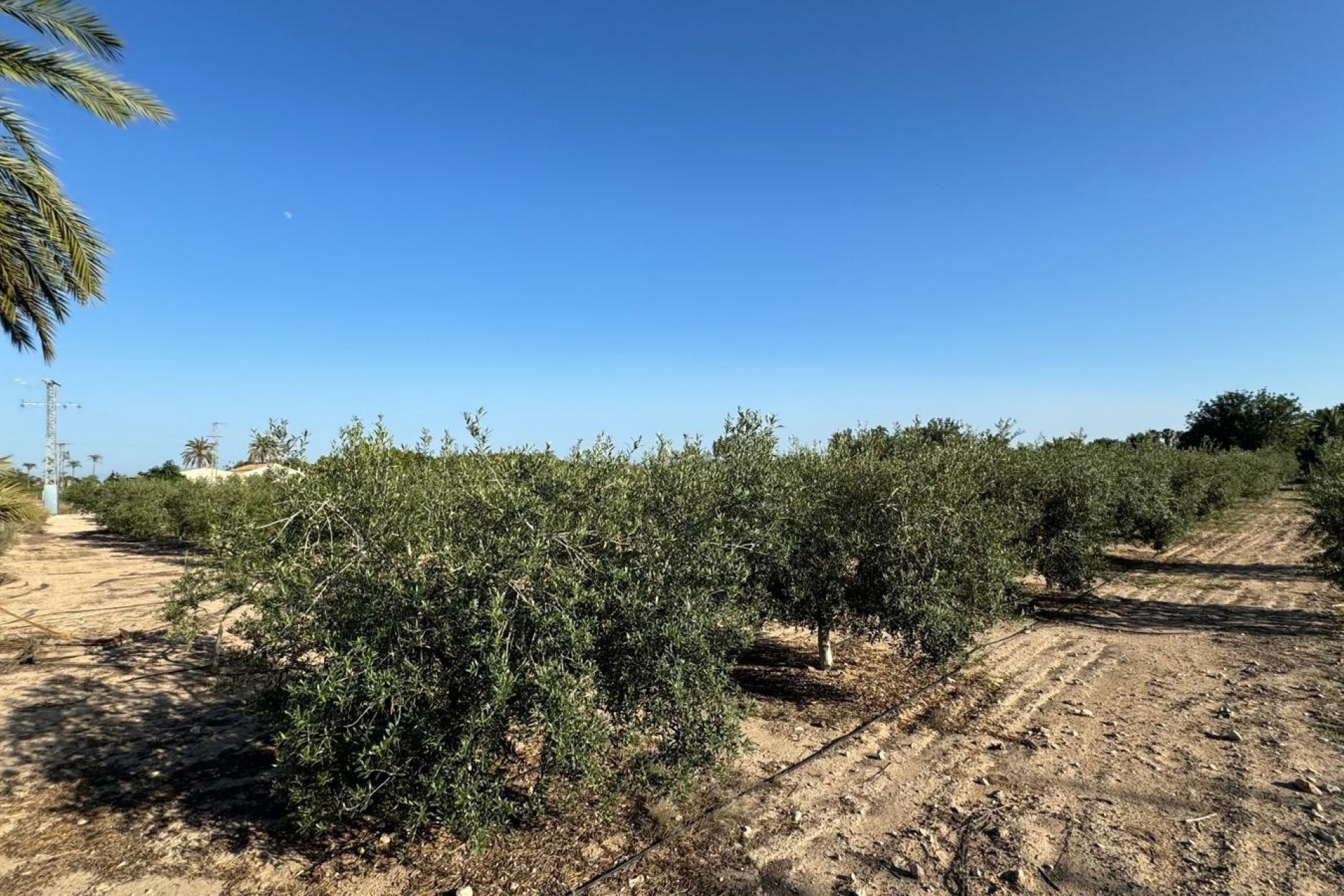 Resale - Villa - Elche Pedanías - La Hoya