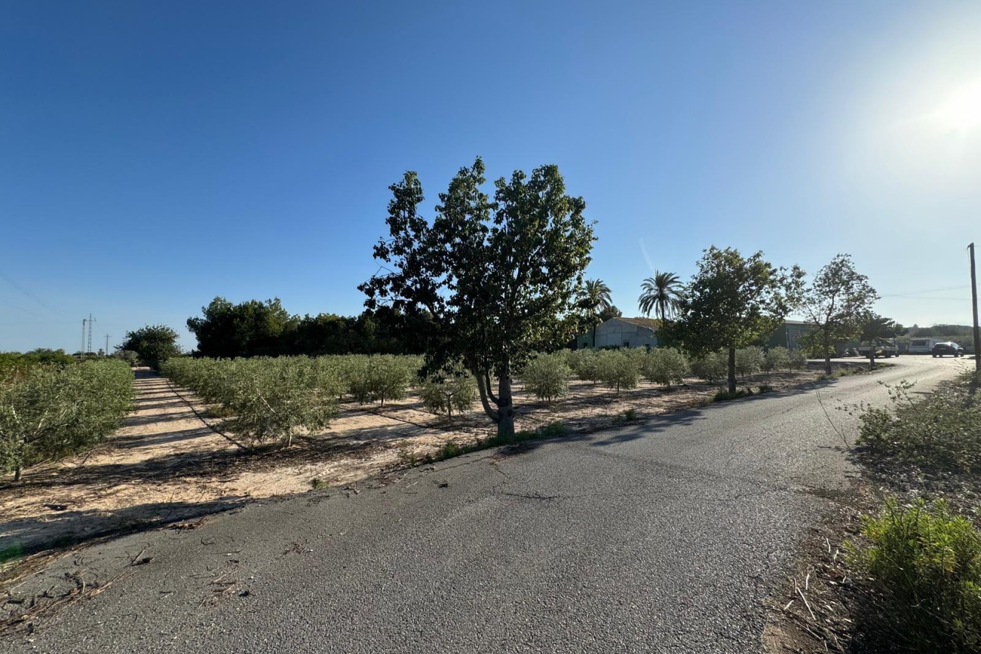 Resale - Villa - Elche Pedanías - La Hoya