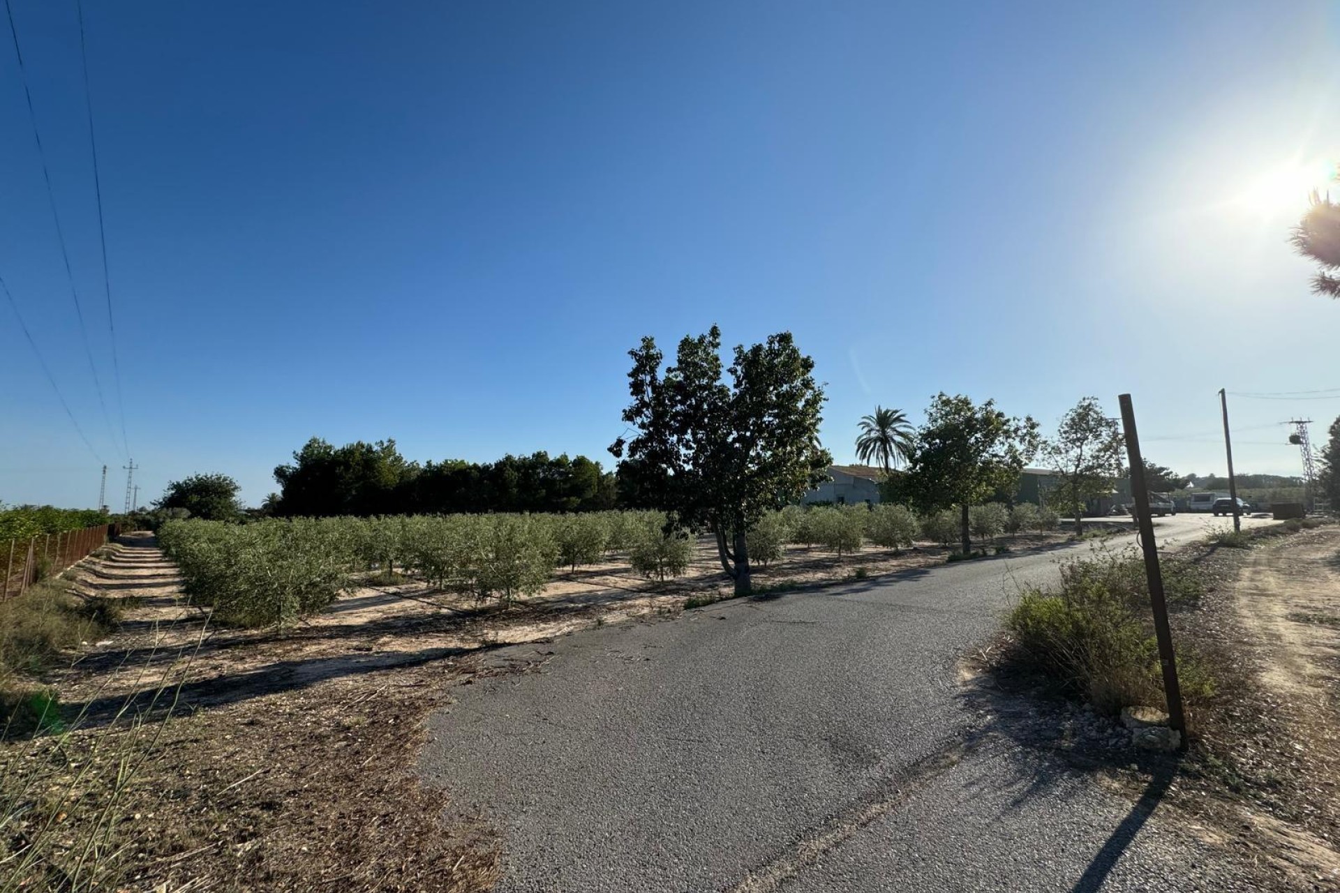 Resale - Villa - Elche Pedanías - La Hoya