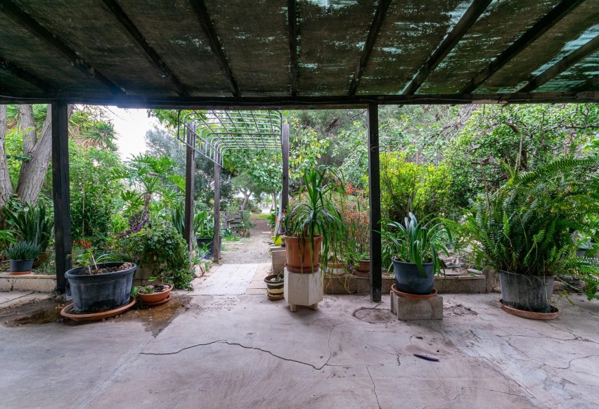 Resale - Villa - Elche Pedanías - La hoya