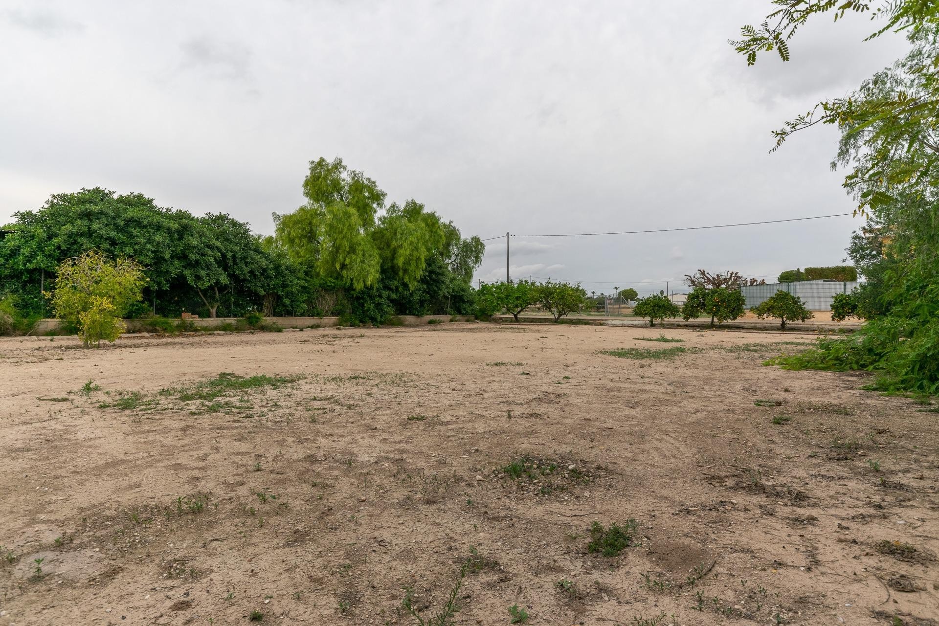 Resale - Villa - Elche Pedanías - La hoya