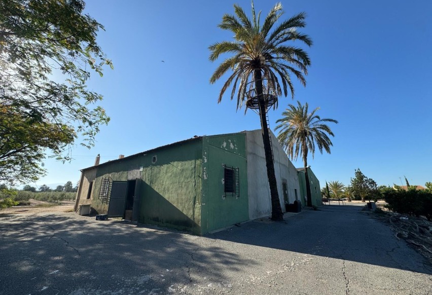 Resale - Villa - Elche Pedanías - La Hoya