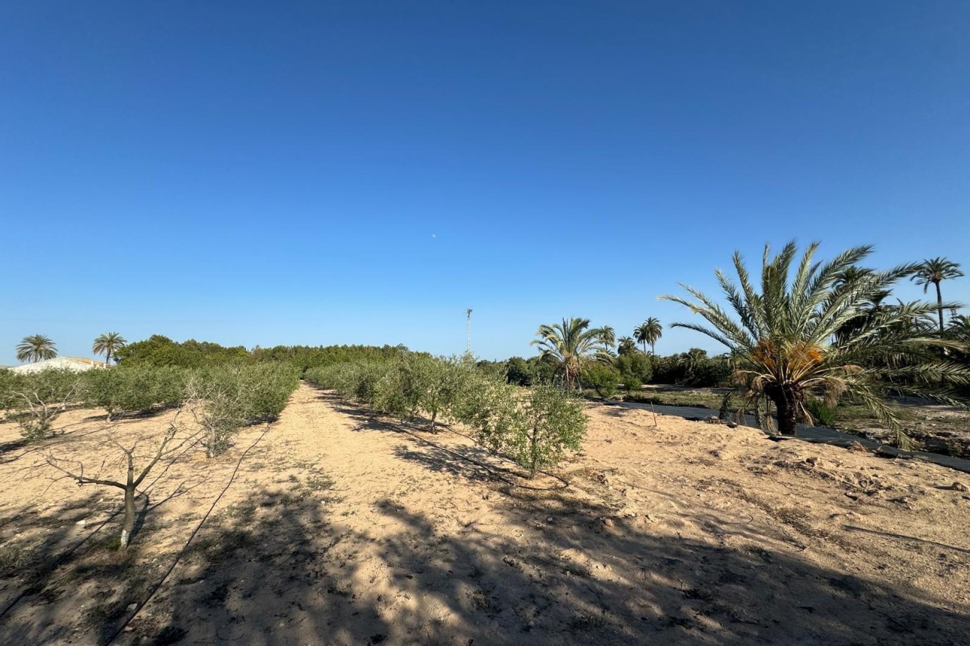 Resale - Villa - Elche Pedanías - La Hoya
