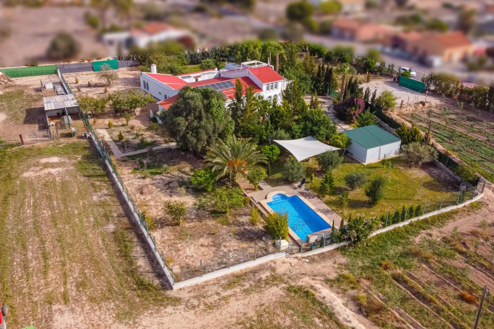 Resale - Villa - Elche Pedanías - LA MARINA