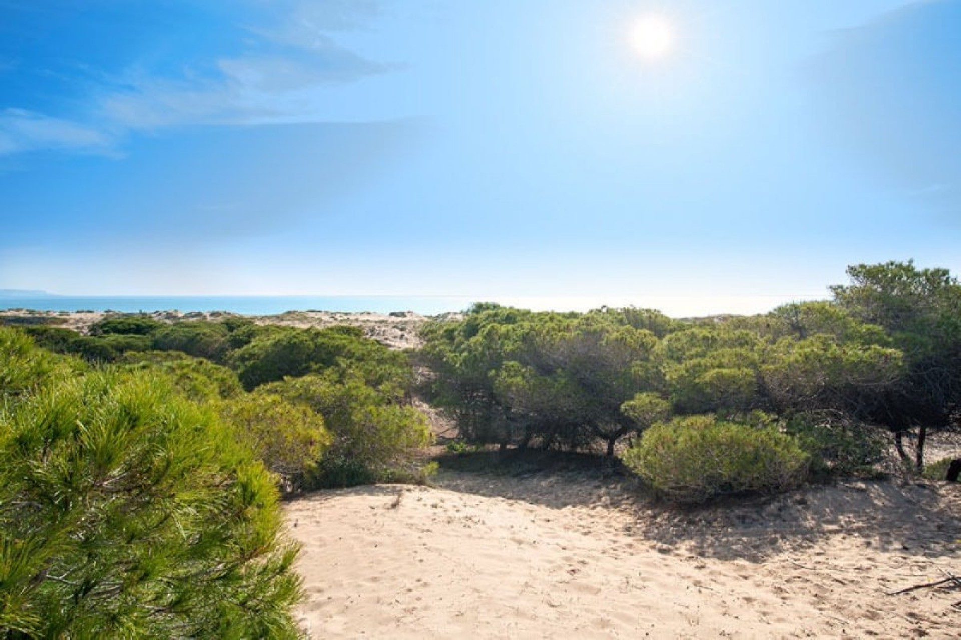 Resale - Villa - Elche Pedanías - La Marina