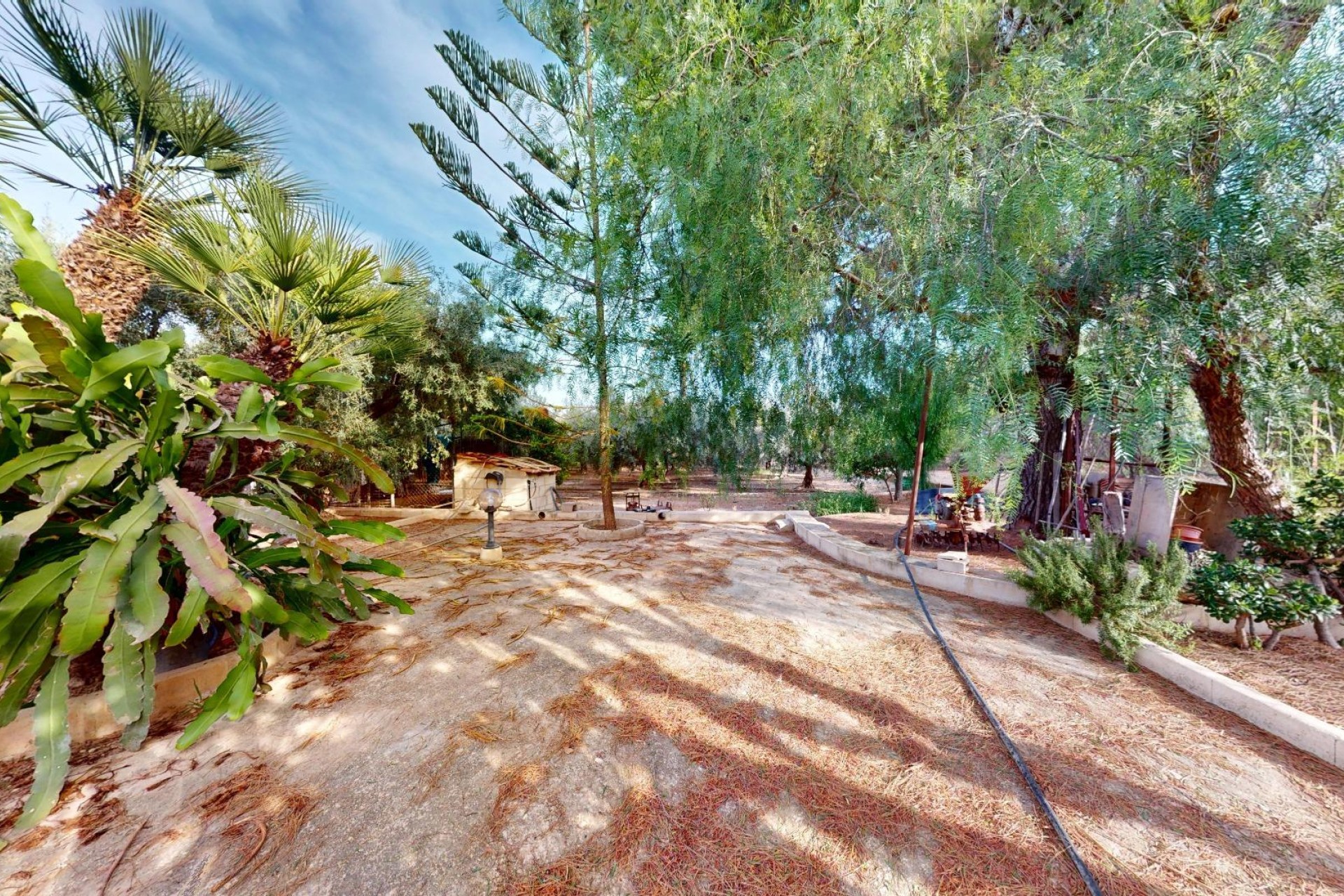 Resale - Villa - Elche Pedanías - Las Bayas-Asprillas