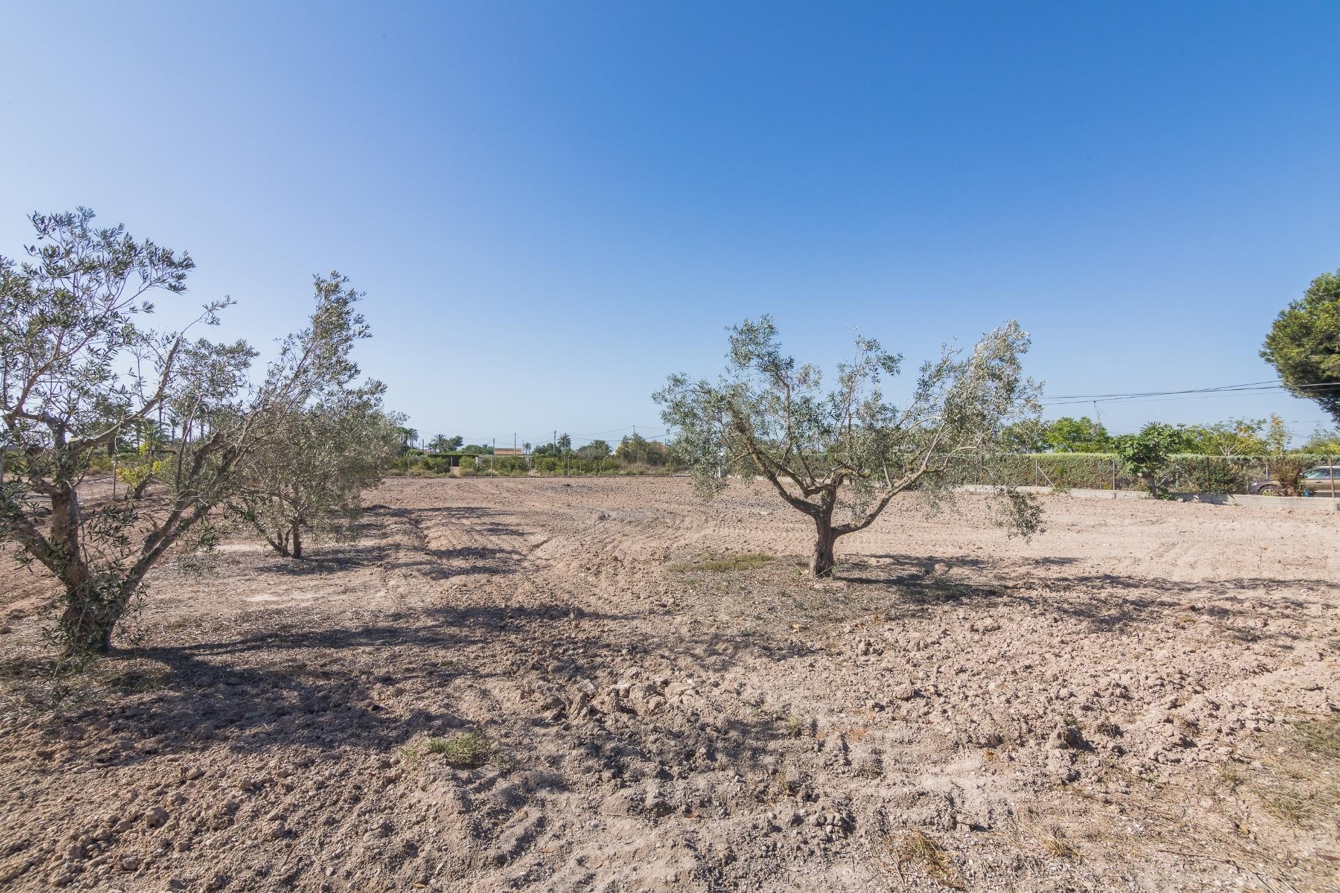 Resale - Villa - Elche Pedanías - Las Bayas