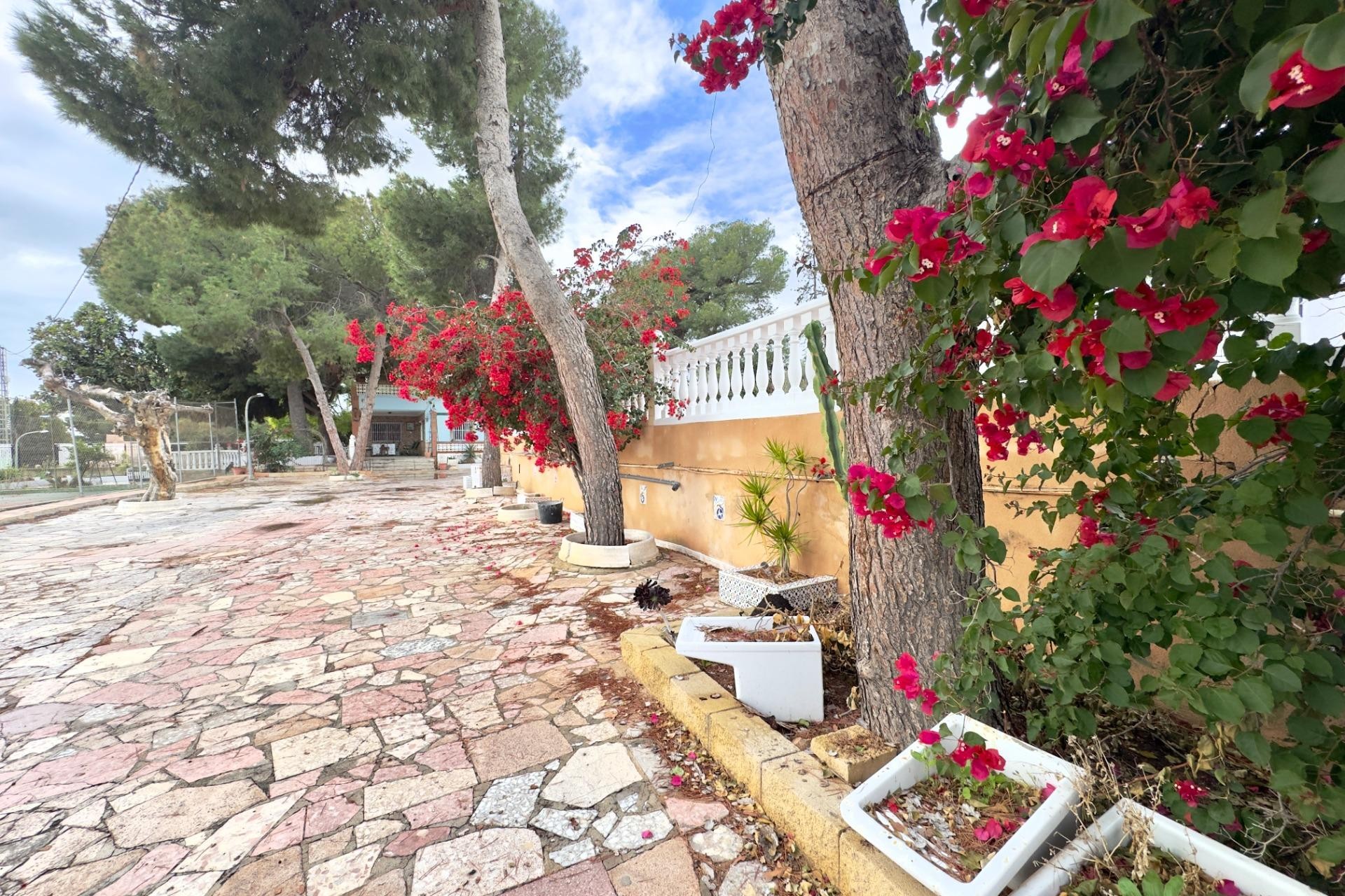 Resale - Villa - Elche Pedanías - Partida de carrus