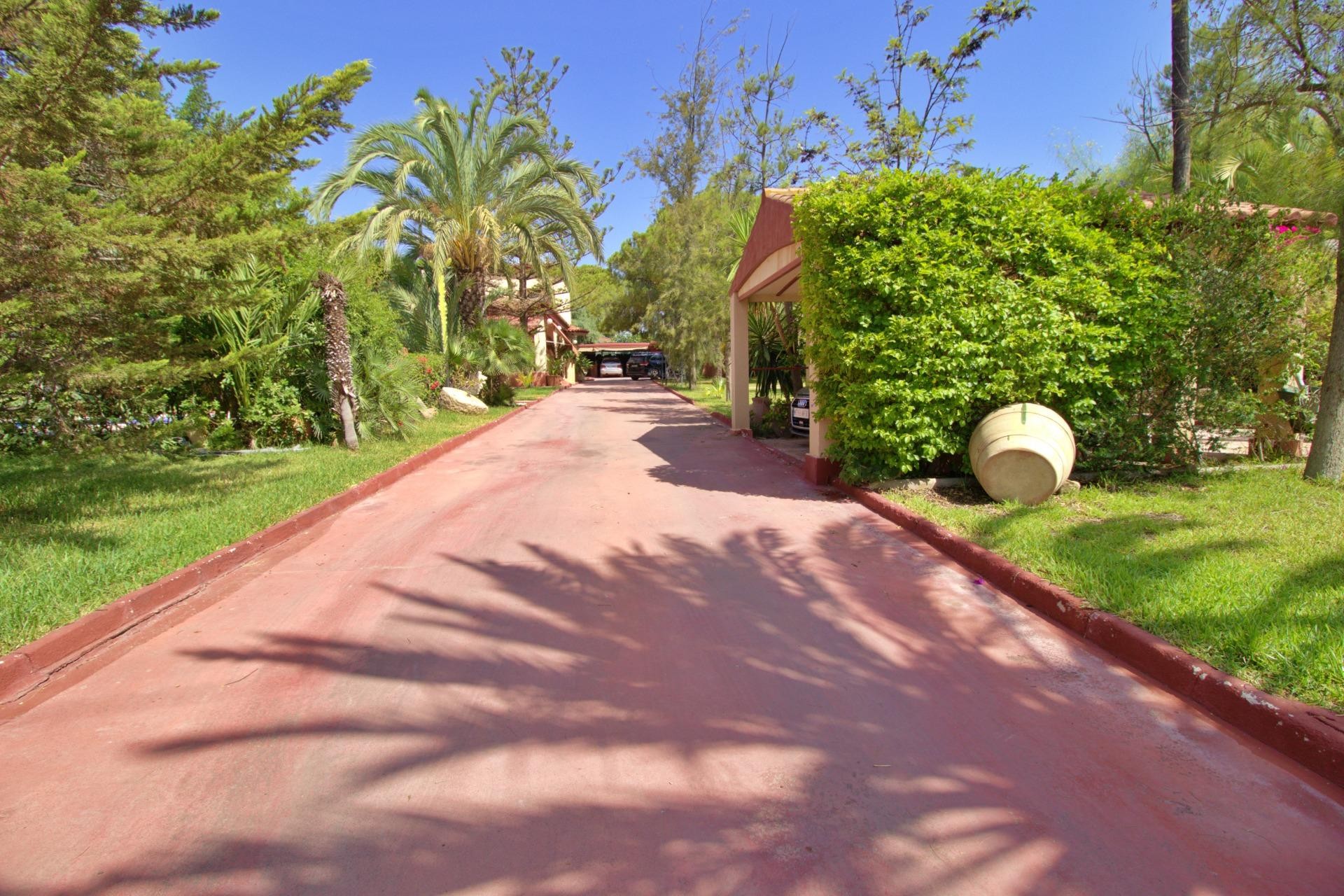 Resale - Villa - Elche Pedanías - Peña las Aguilas