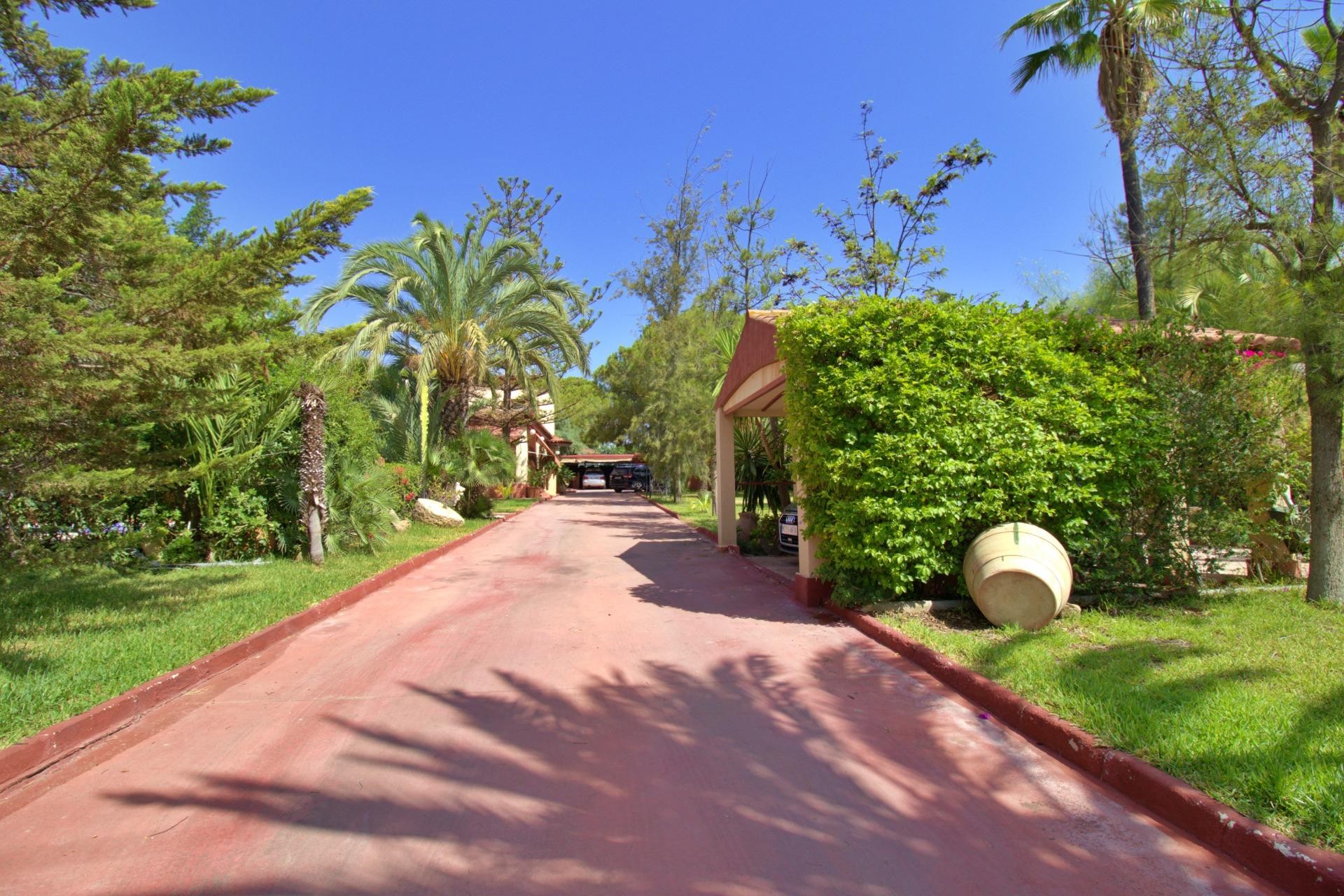 Resale - Villa - Elche Pedanías - Peña las Aguilas