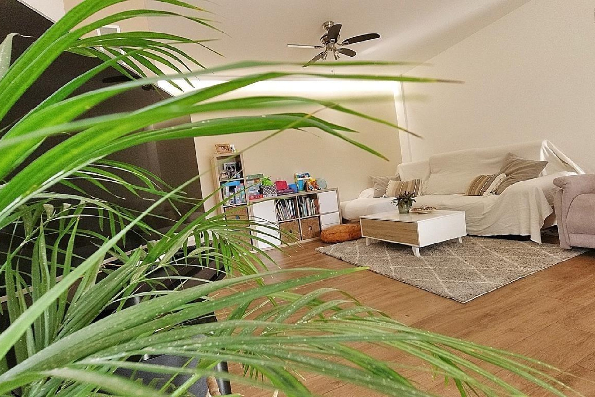 Resale - Villa - Elche Pedanías - Peña las Águilas