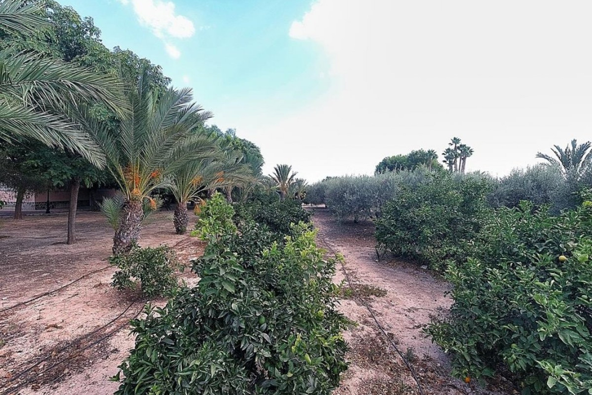 Resale - Villa - Elche Pedanías - Perleta