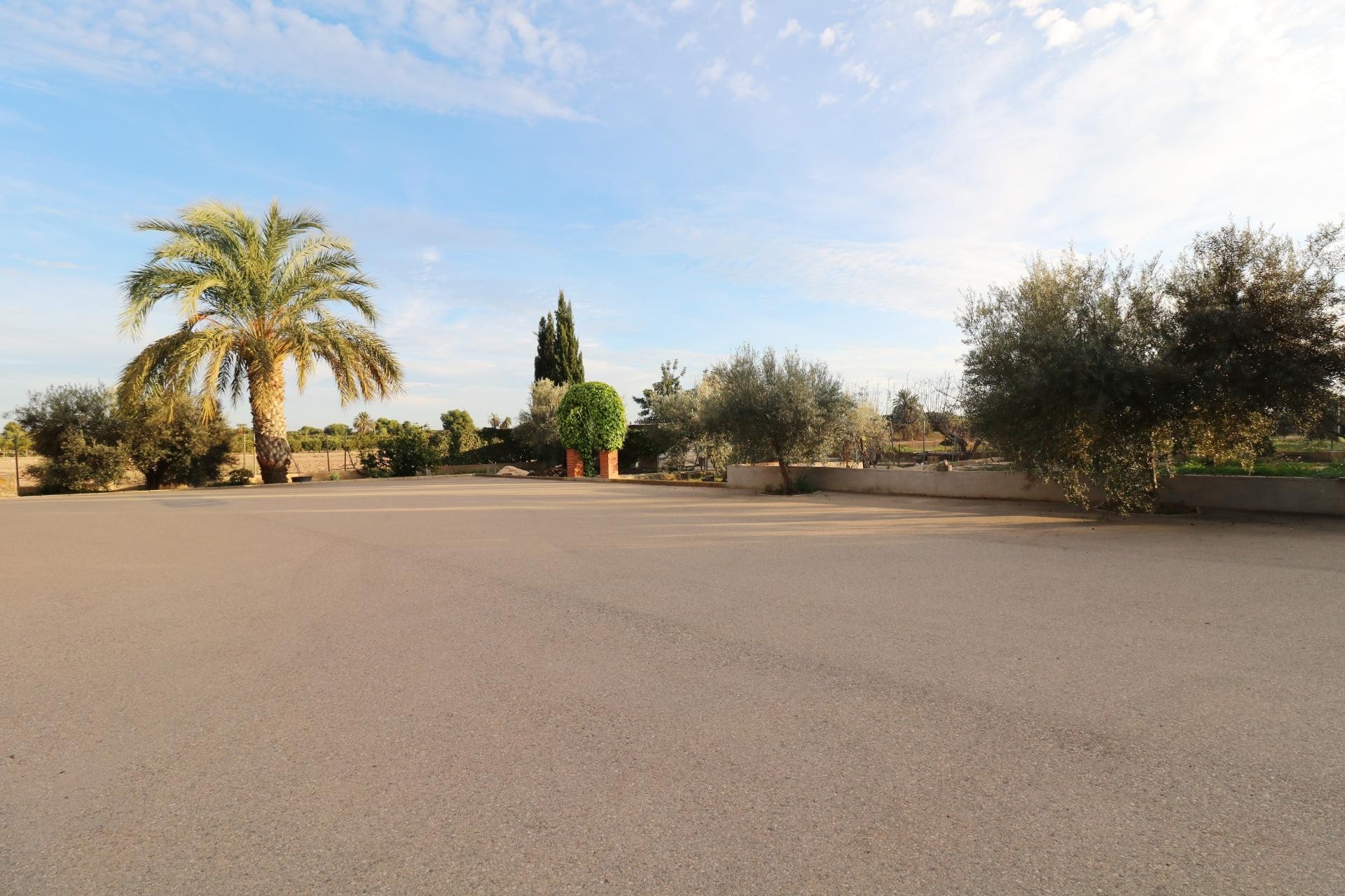 Resale - Villa - Elche Pedanías - Pussol