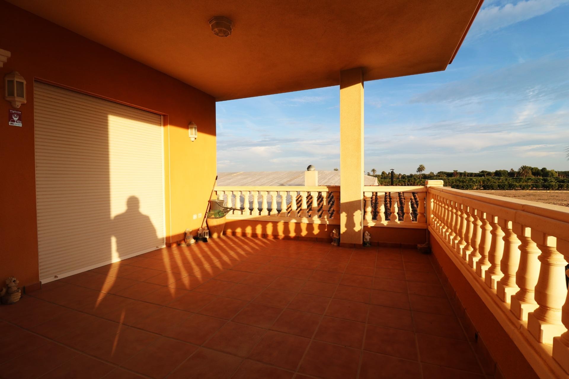 Resale - Villa - Elche Pedanías - Pussol