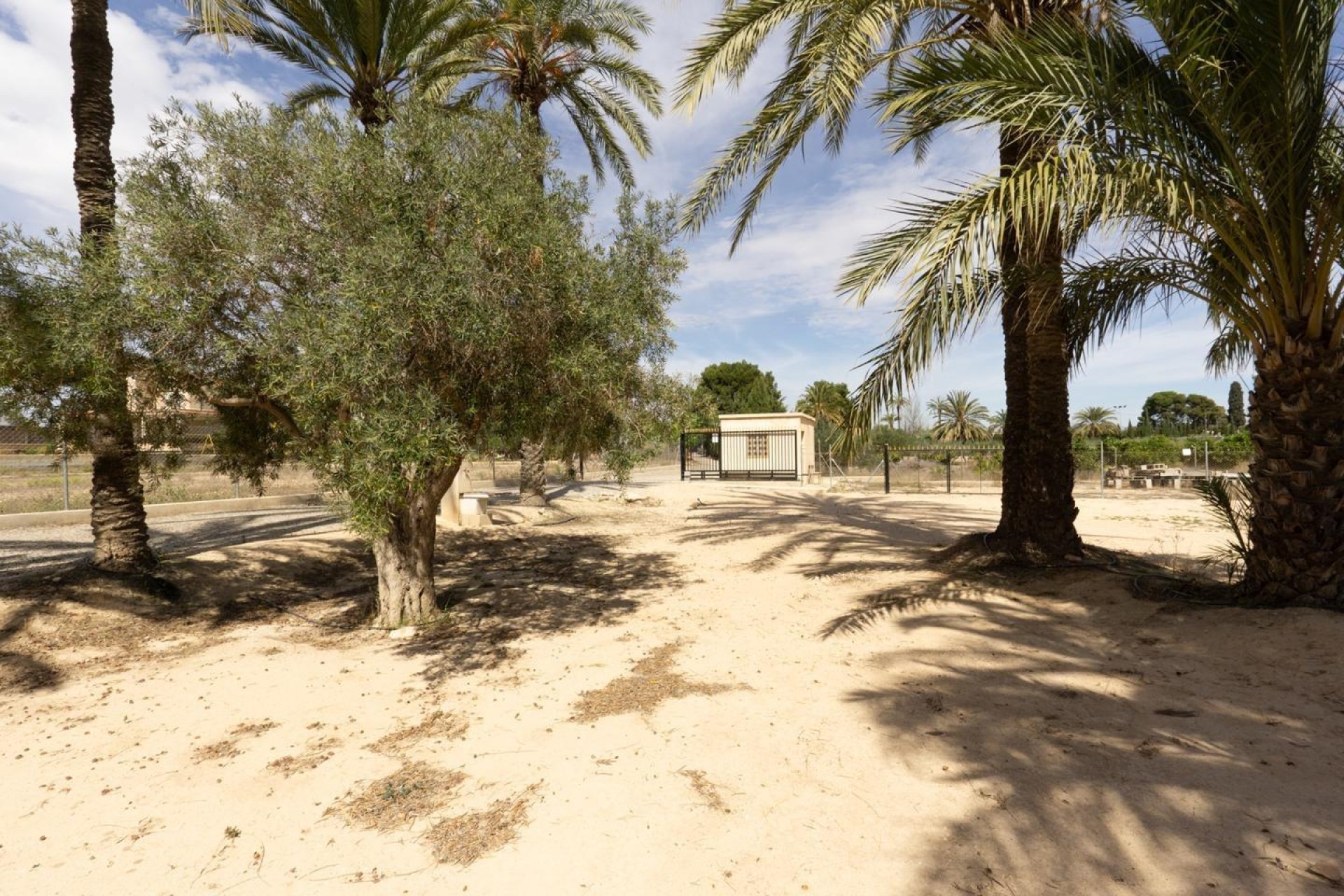 Resale - Villa - Elche Pedanías - Valverde