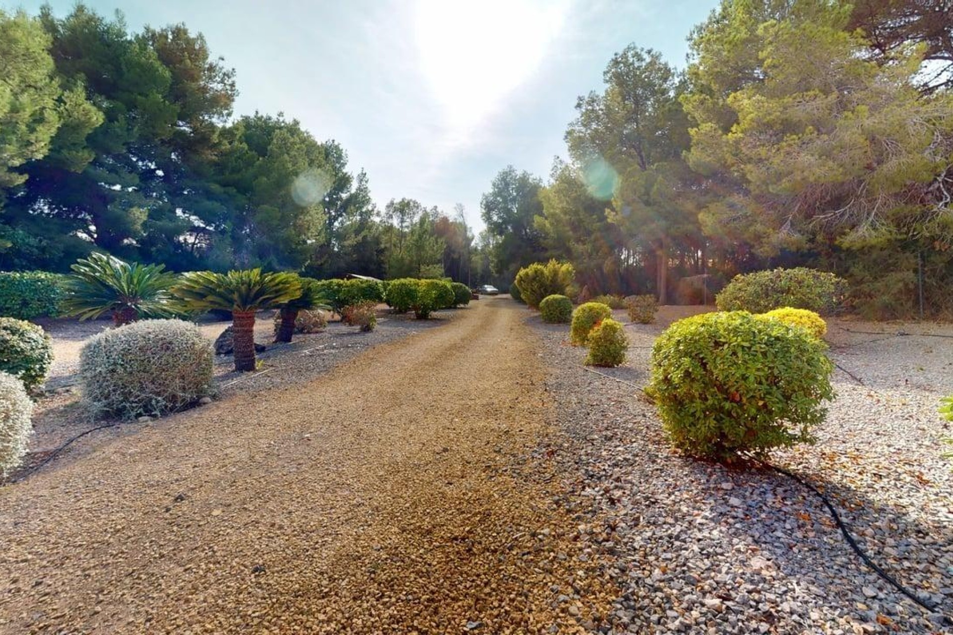 Resale - Villa - l'Alfas del Pi - Colonia Escandinavia-Cautivador