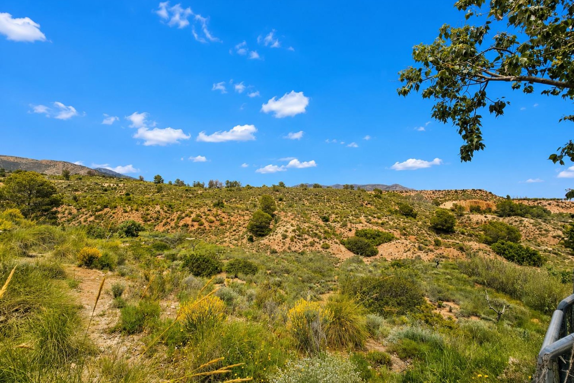Resale - Villa - Novelda - HORNA ALTA