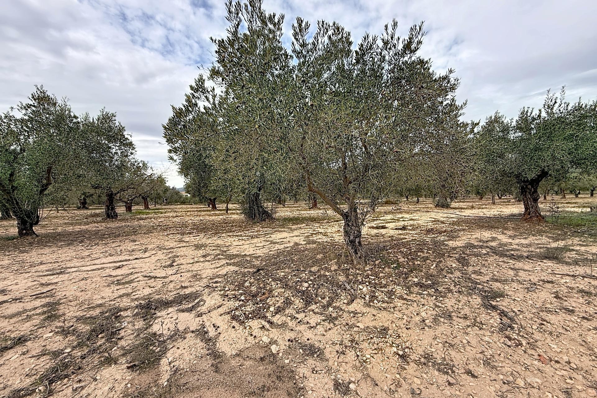 Resale - Villa - Onil - El Pla