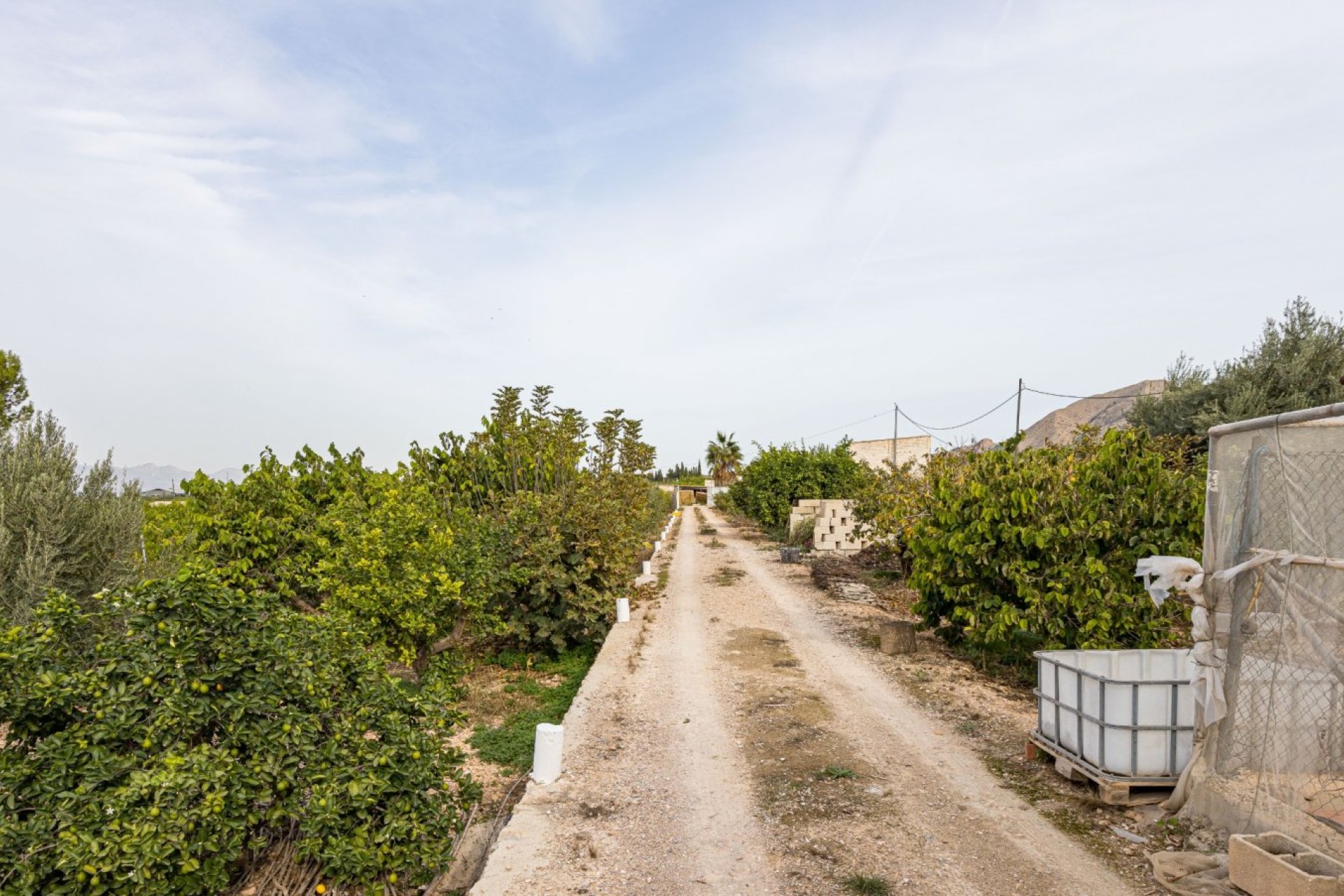 Resale - Villa - Orihuela Costa - La Matanza