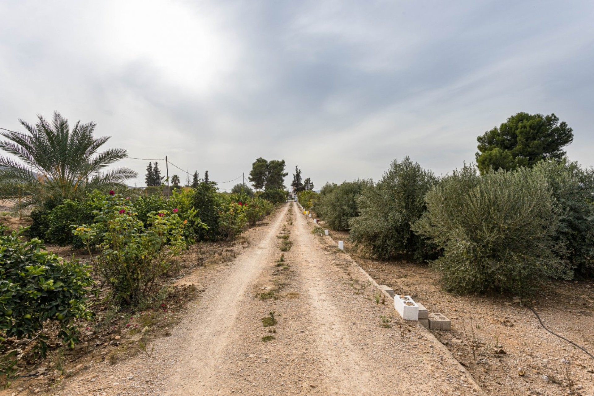 Resale - Villa - Orihuela Costa - La Matanza