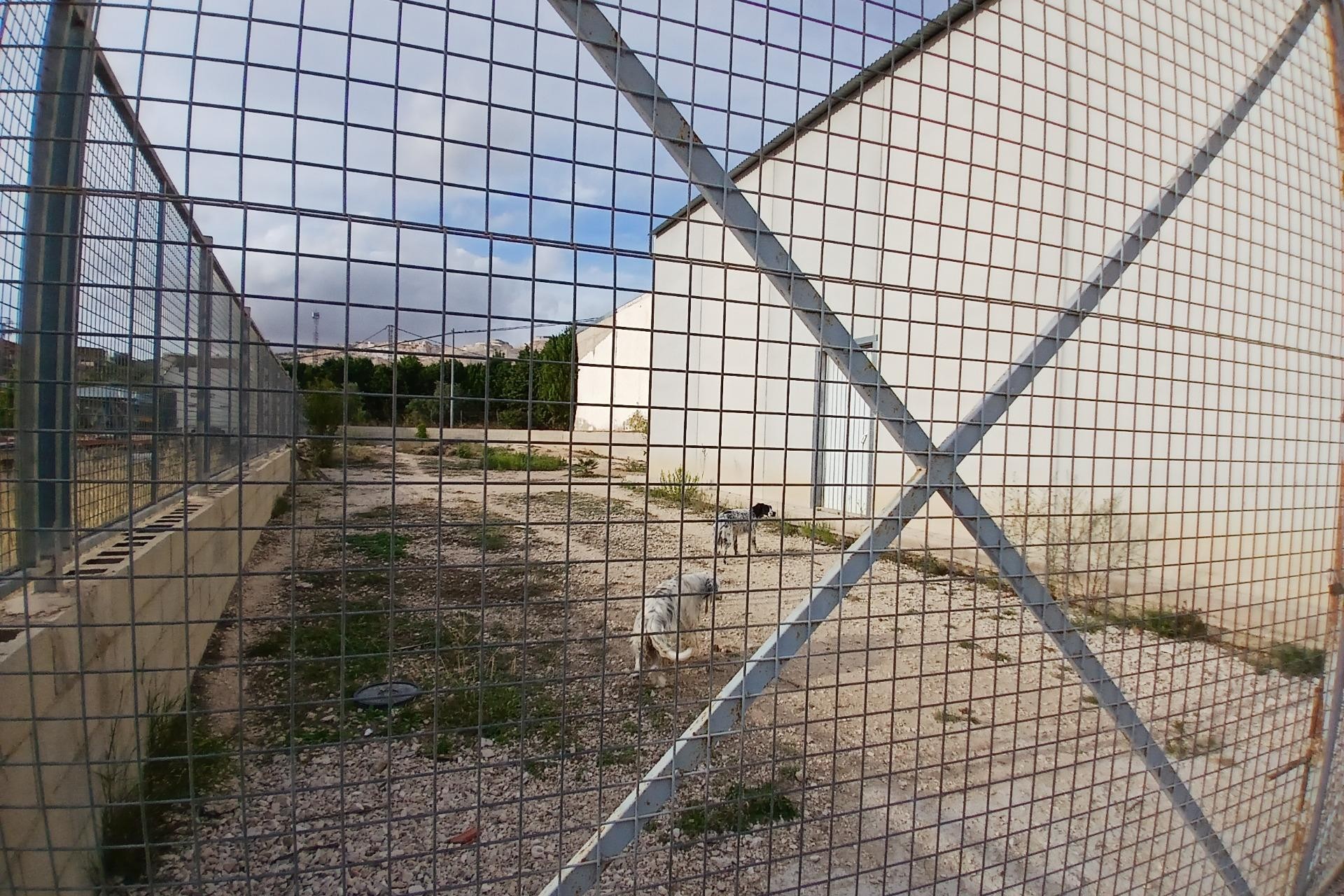 Reventa - Almacén - Algueña - Algeña alicante