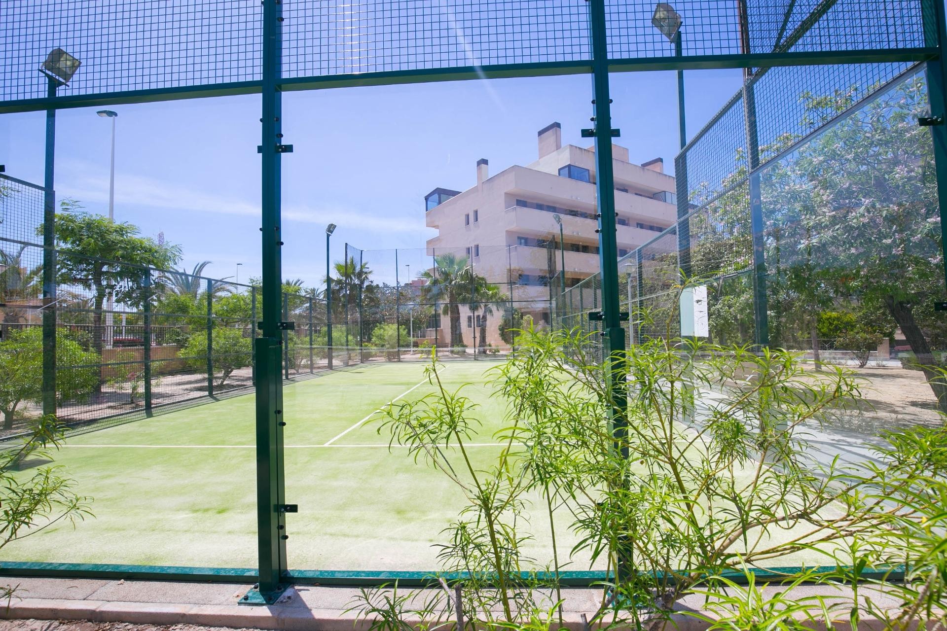 Reventa - Apartamento / piso - Arenales del Sol - Calle valladolid