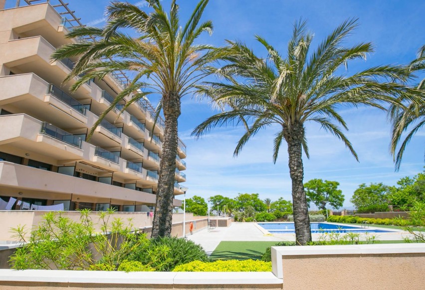 Reventa - Apartamento / piso - Arenales del Sol - Calle valladolid