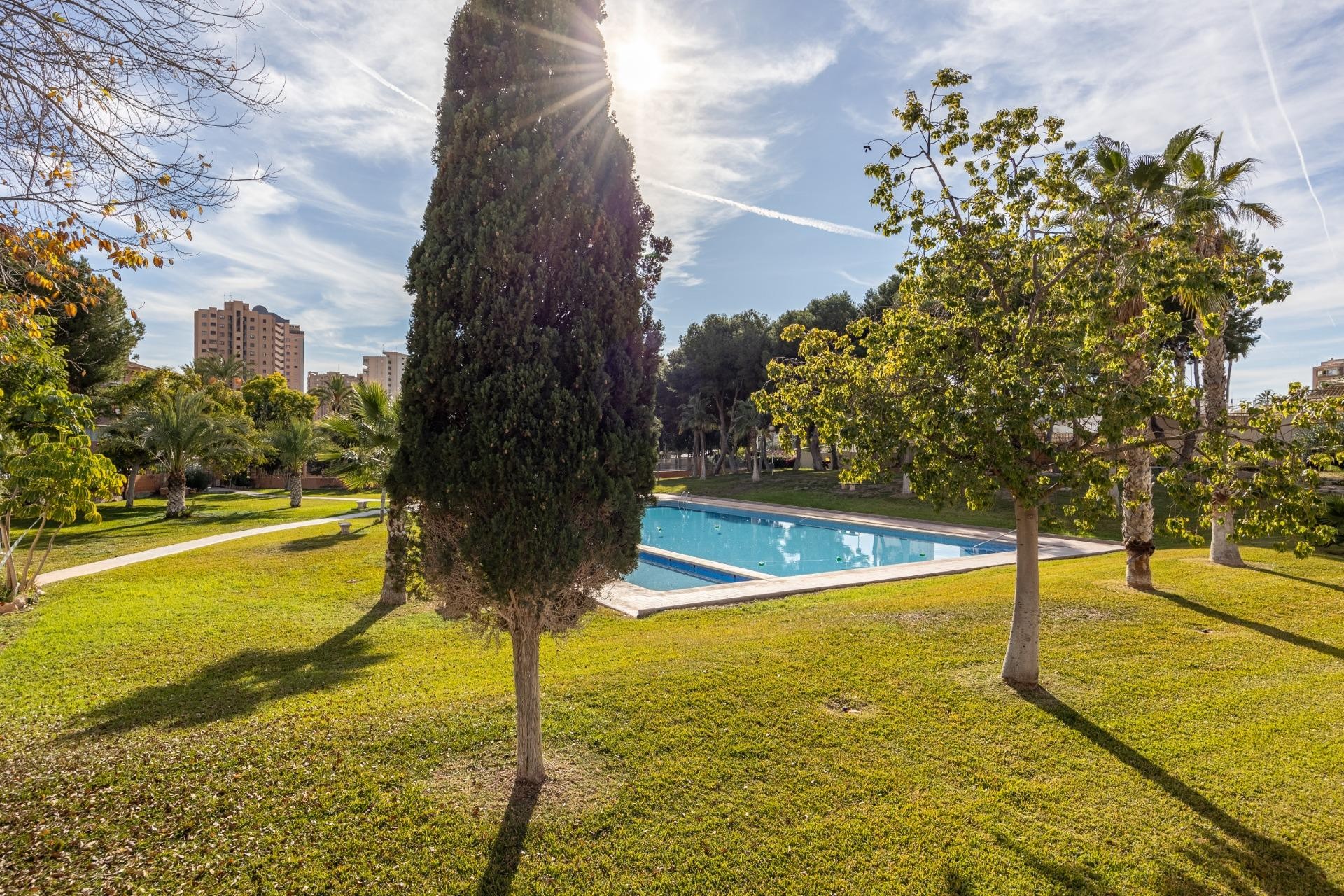 Reventa - Apartamento / piso - Benidorm - Hotel Bali