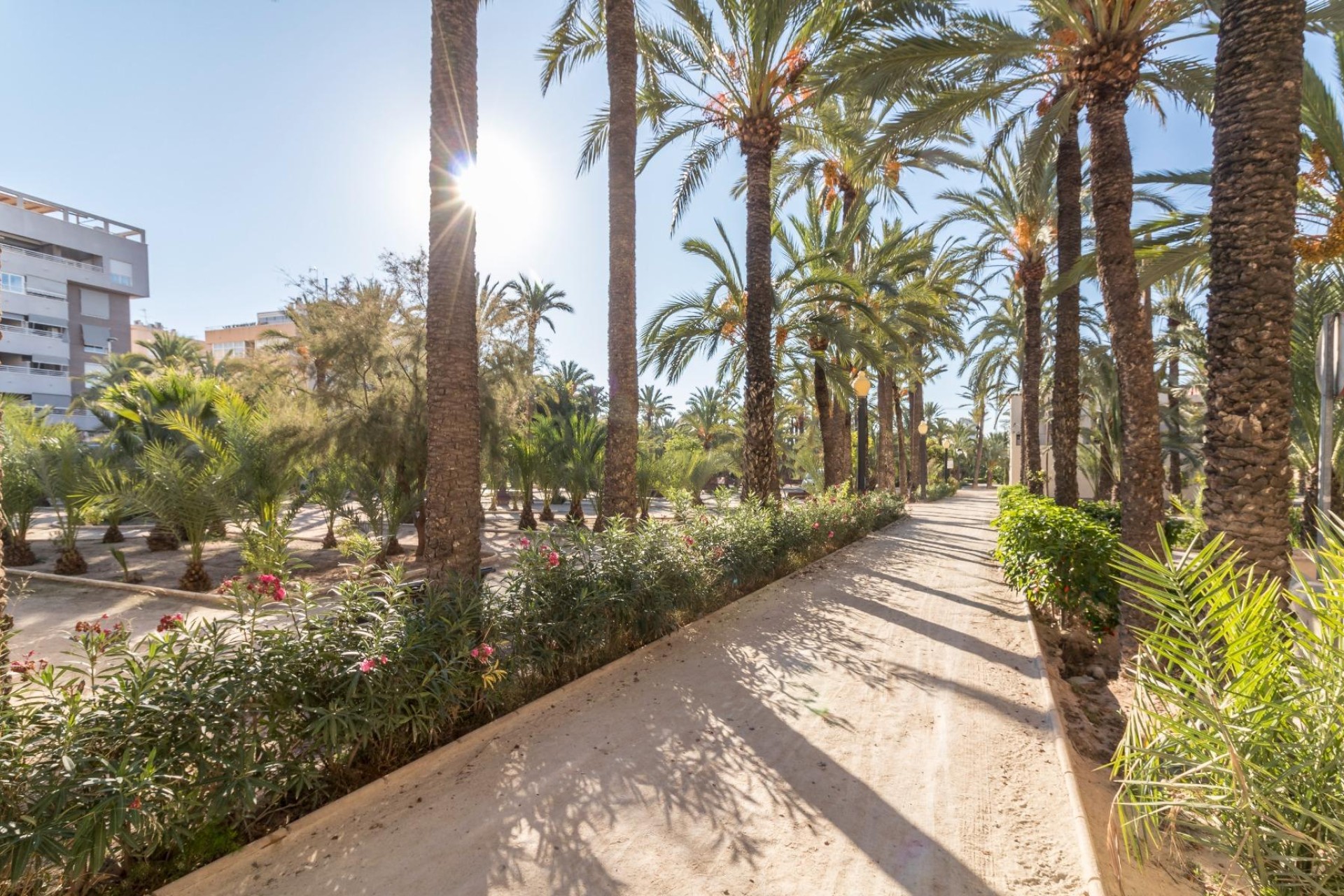 Reventa - Apartamento / piso - Elche - Altabix