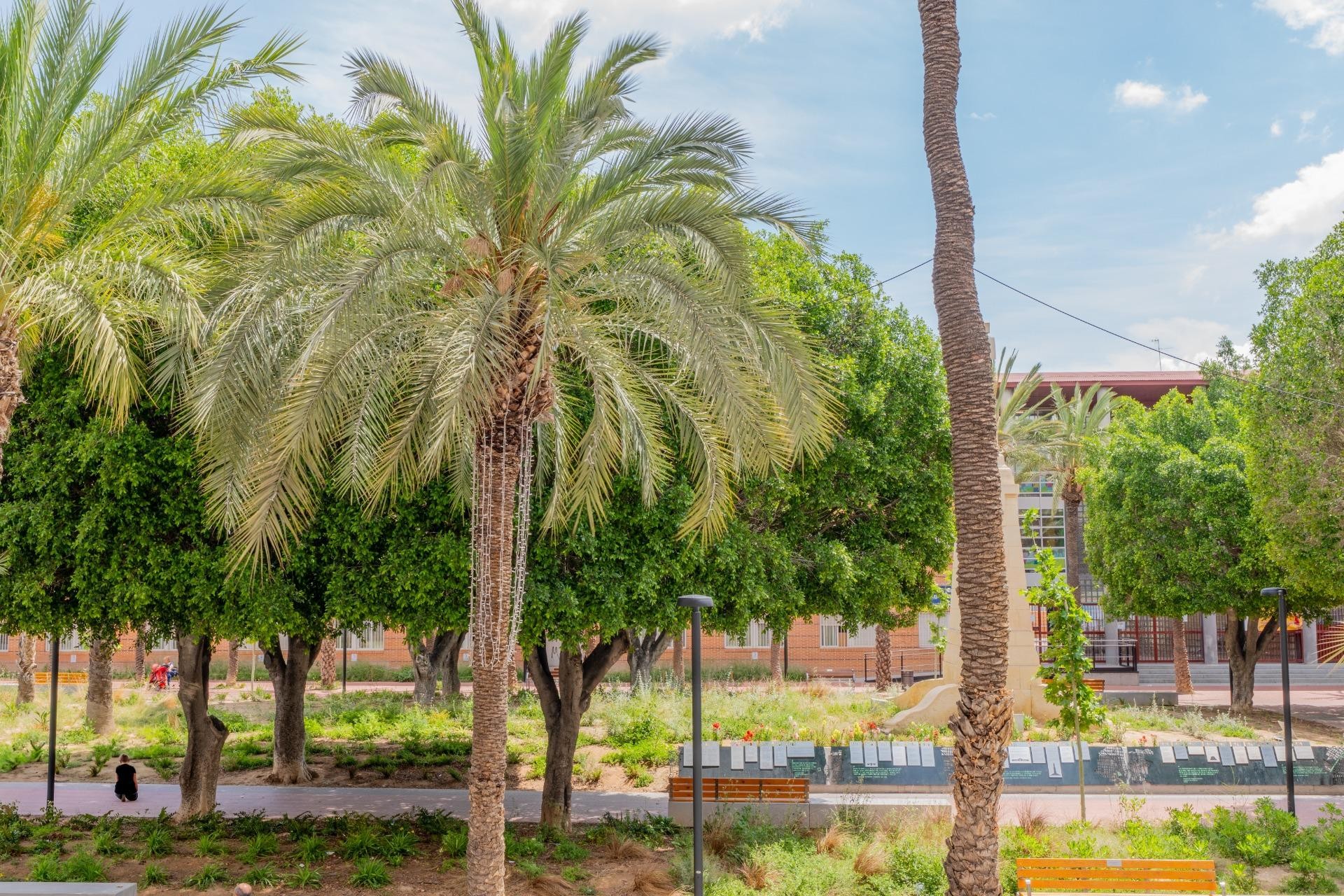 Reventa - Apartamento / piso - Elche - Asilo - Pisos Azules