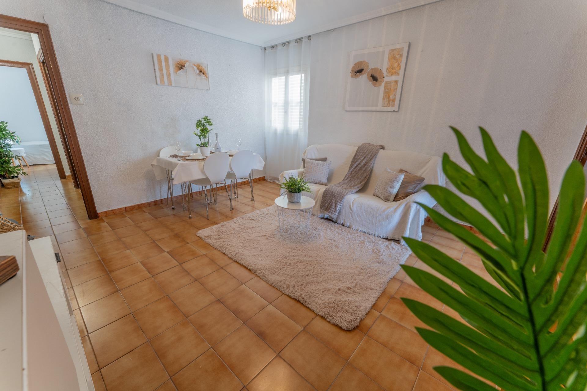 Reventa - Apartamento / piso - Elche - Asilo - Pisos Azules