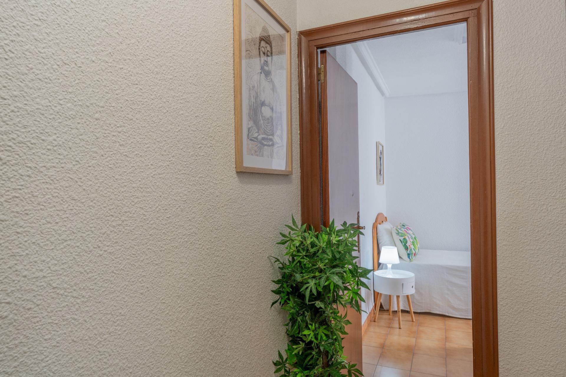 Reventa - Apartamento / piso - Elche - Asilo - Pisos Azules