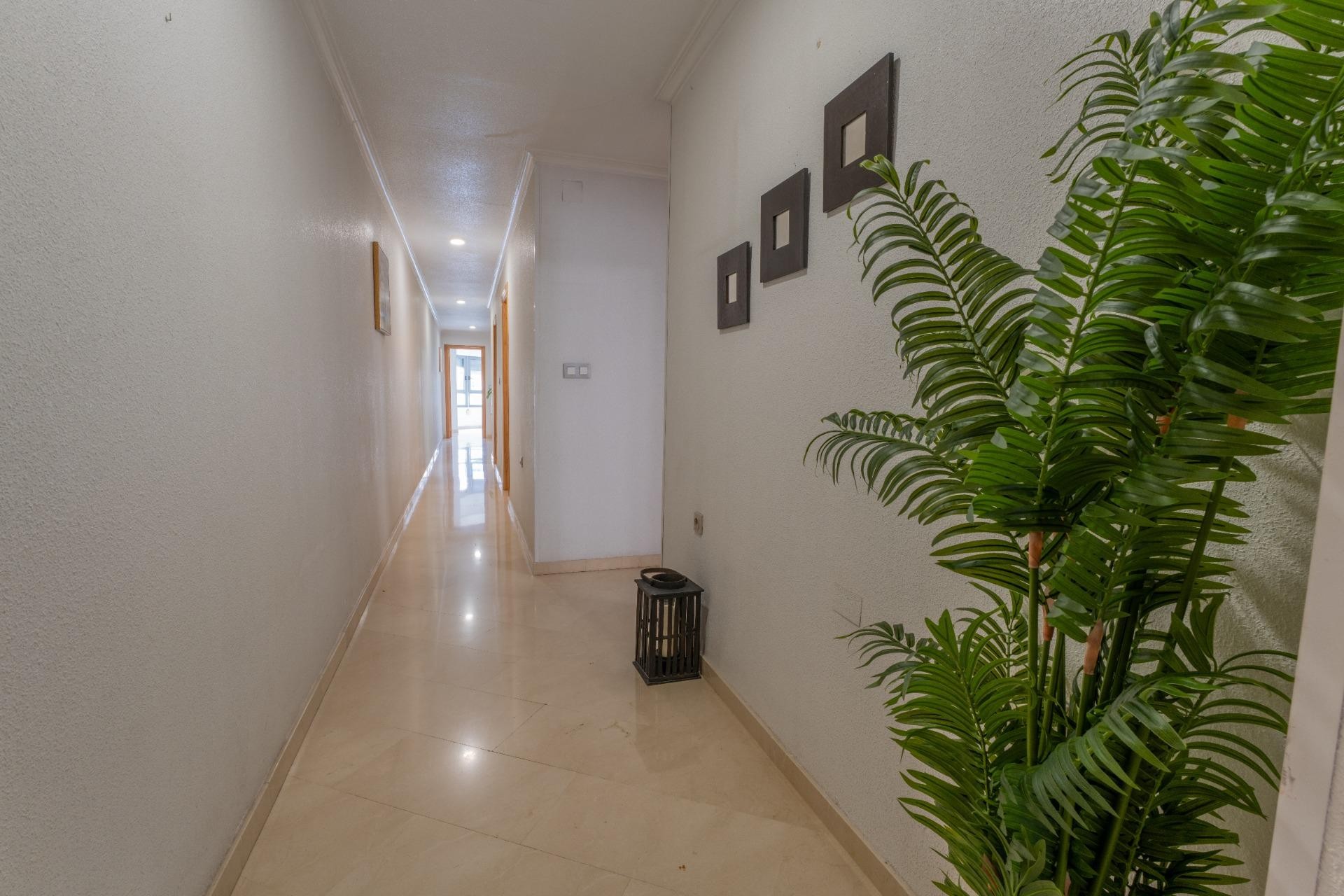 Reventa - Apartamento / piso - Elche - Carrús Este