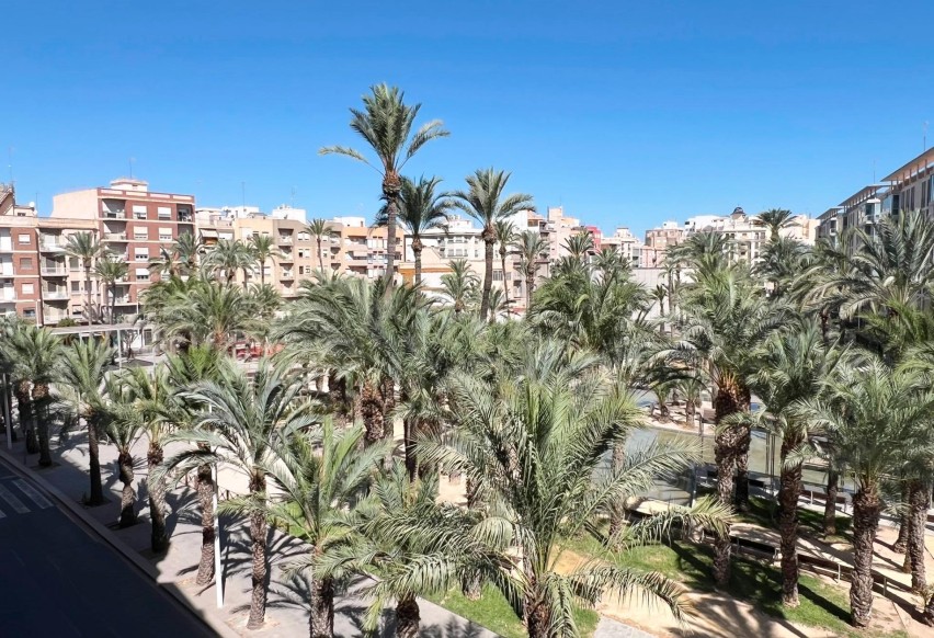 Reventa - Apartamento / piso - Elche - Centro