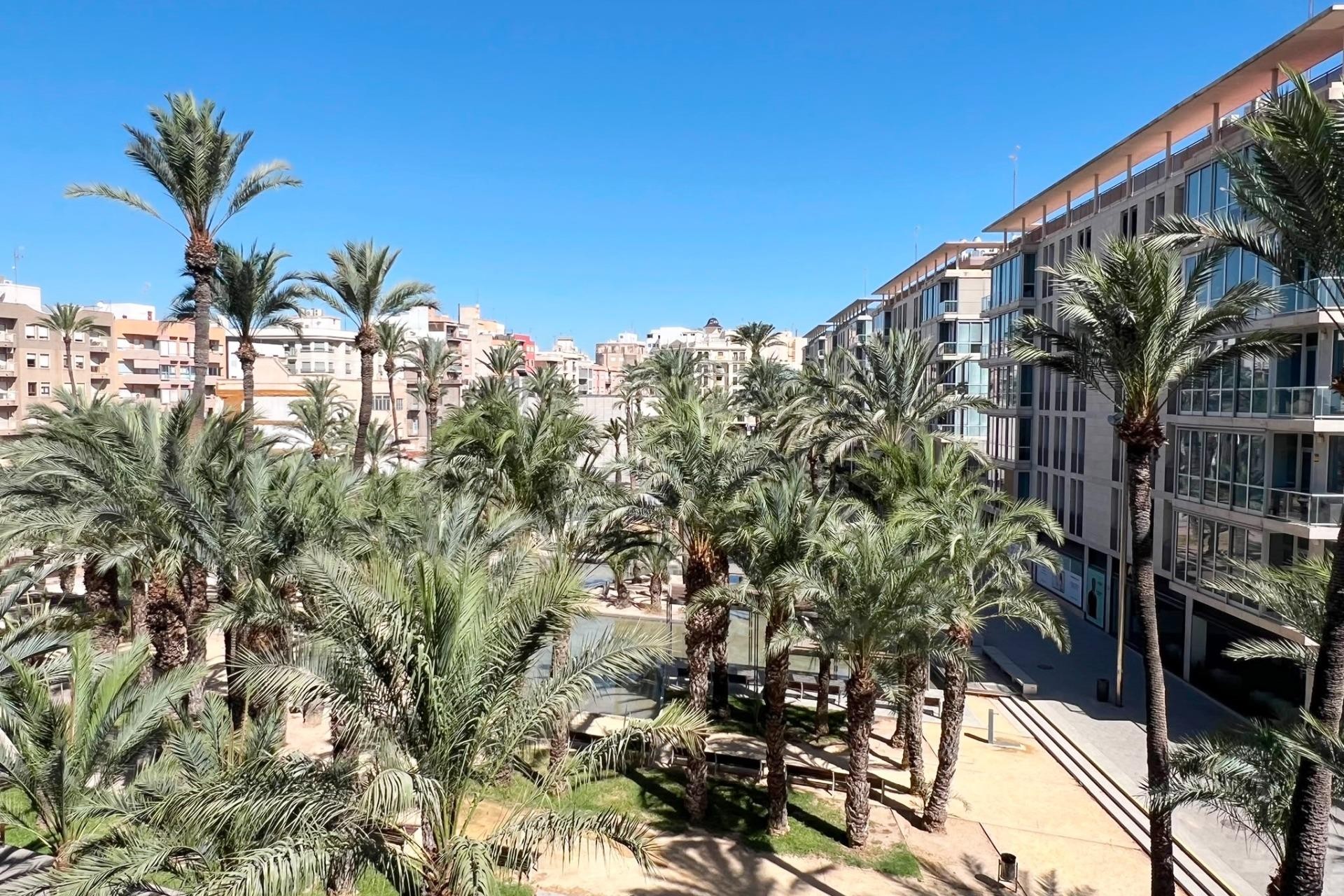 Reventa - Apartamento / piso - Elche - Centro