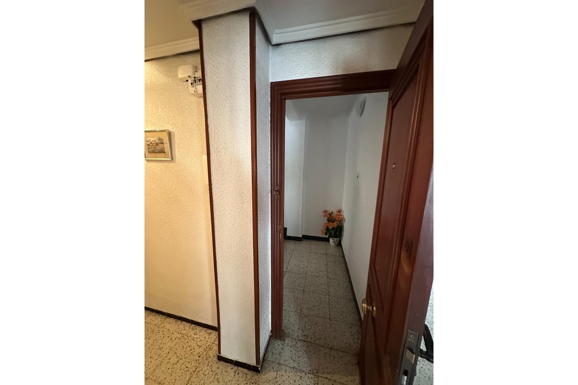 Reventa - Apartamento / piso - Elche - Centro
