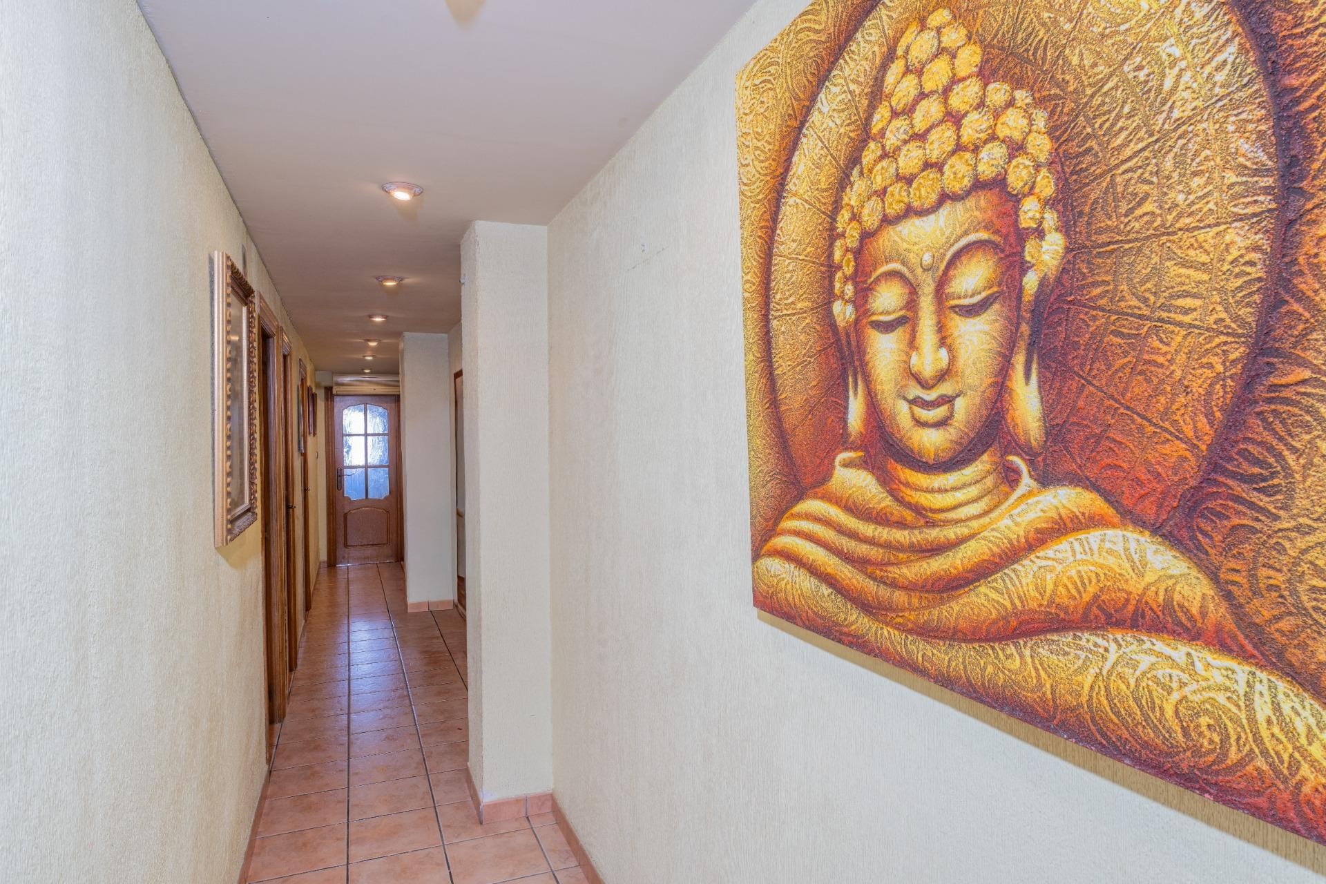 Reventa - Apartamento / piso - Elche - Plaza Barcelona