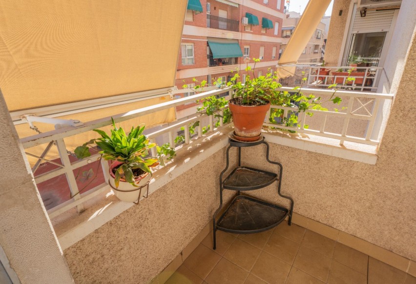 Reventa - Apartamento / piso - Elche - Reina Victoria-Miguel Hernández