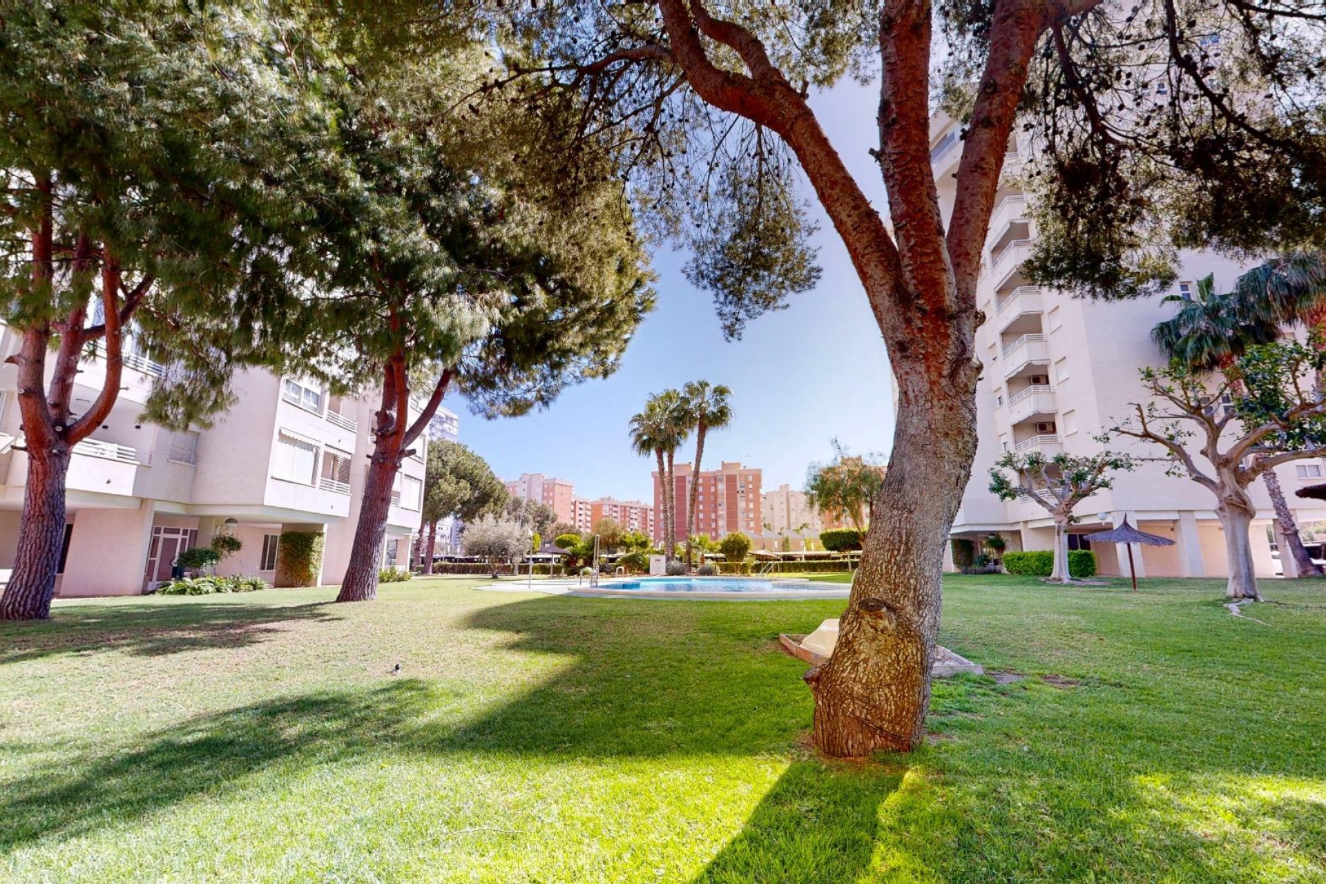 Reventa - Apartamento / piso - San Juan Alicante