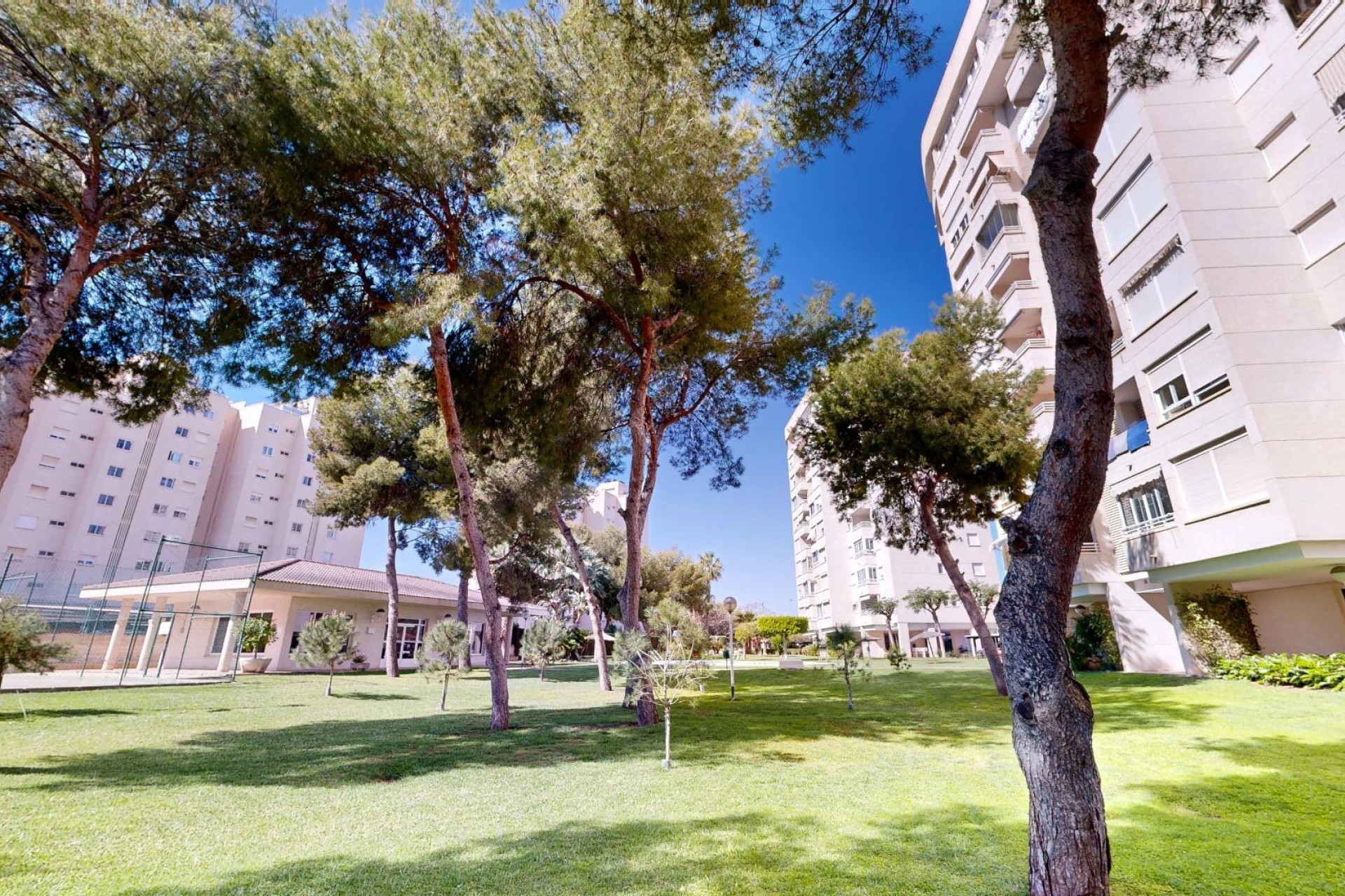 Reventa - Apartamento / piso - San Juan Alicante
